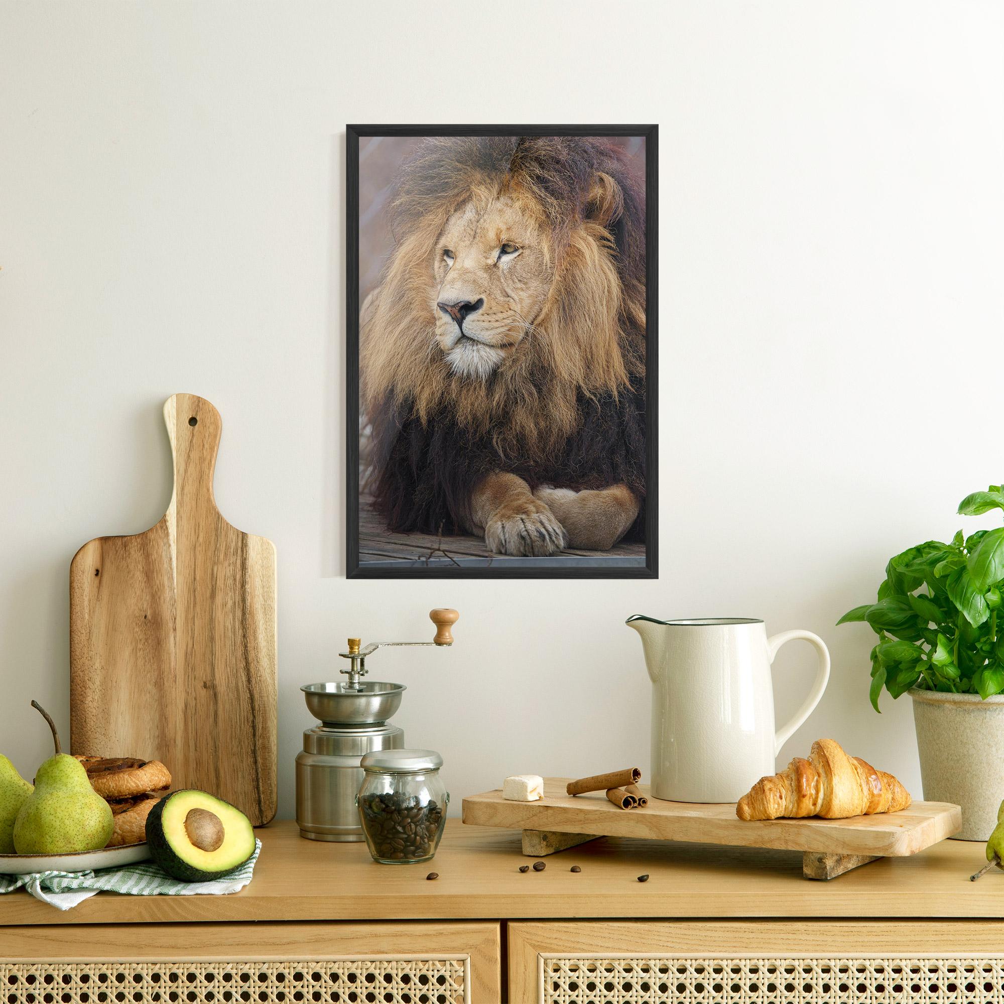 Рамкиран постер Lion Chilling mockup 8
