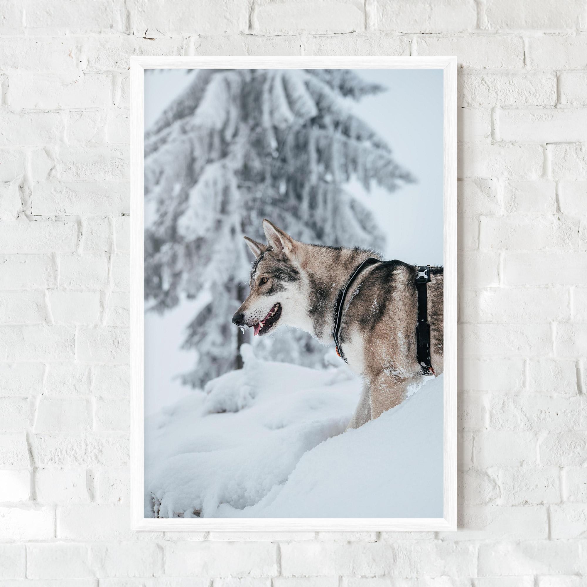 Рамкиран постер Snow Wolf mockup 0