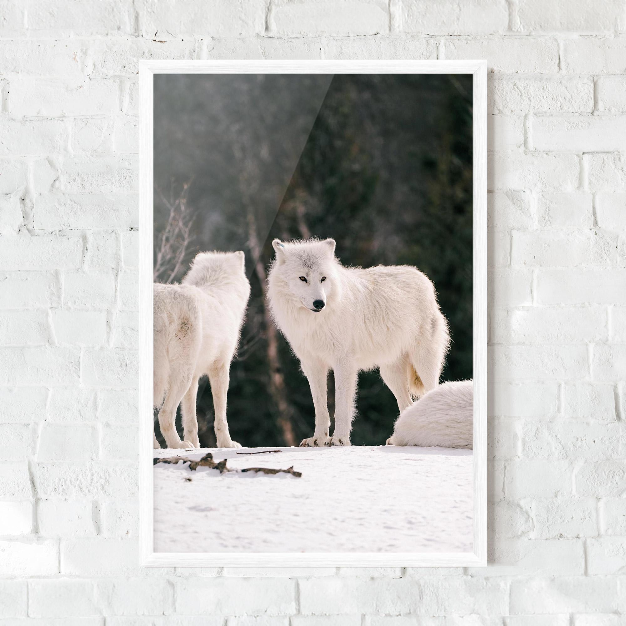 Рамкиран постер White Wolf Waiting mockup 0