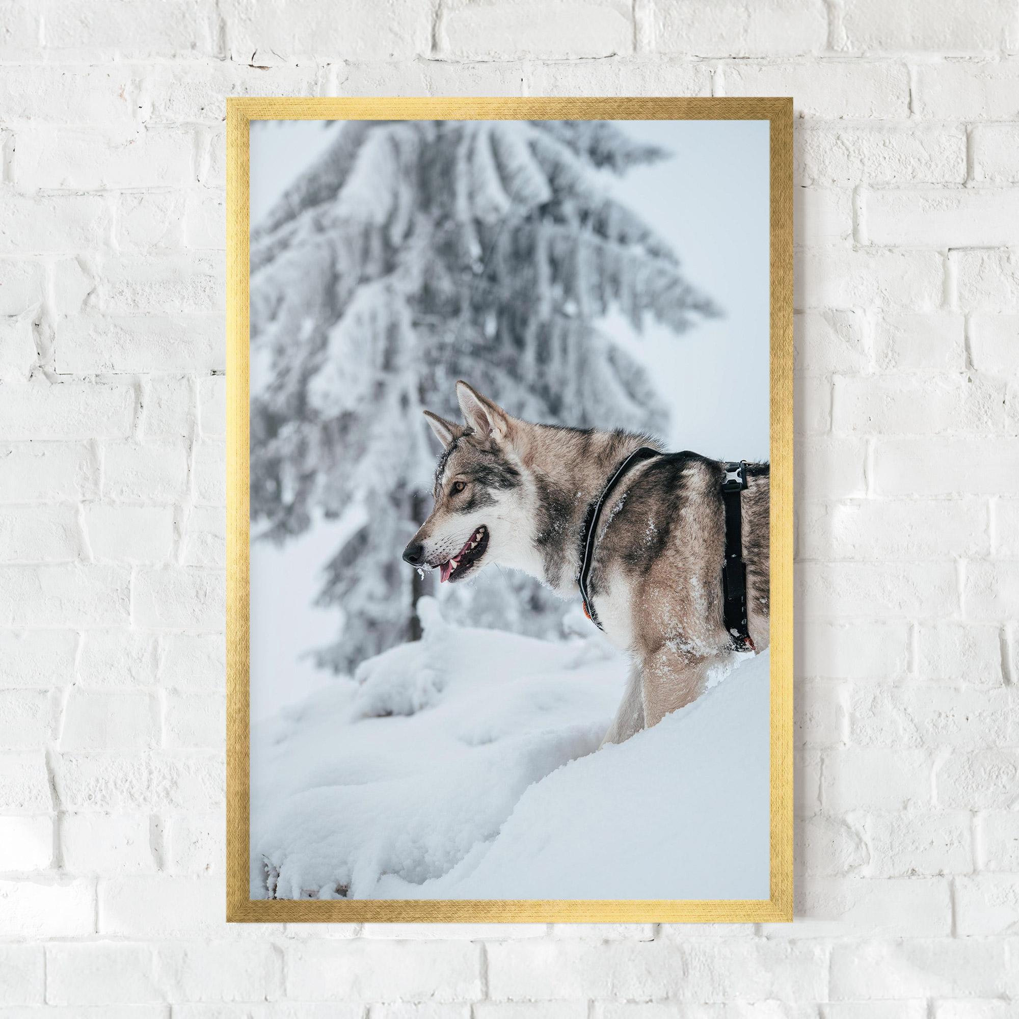 Рамкиран постер Snow Wolf mockup 0