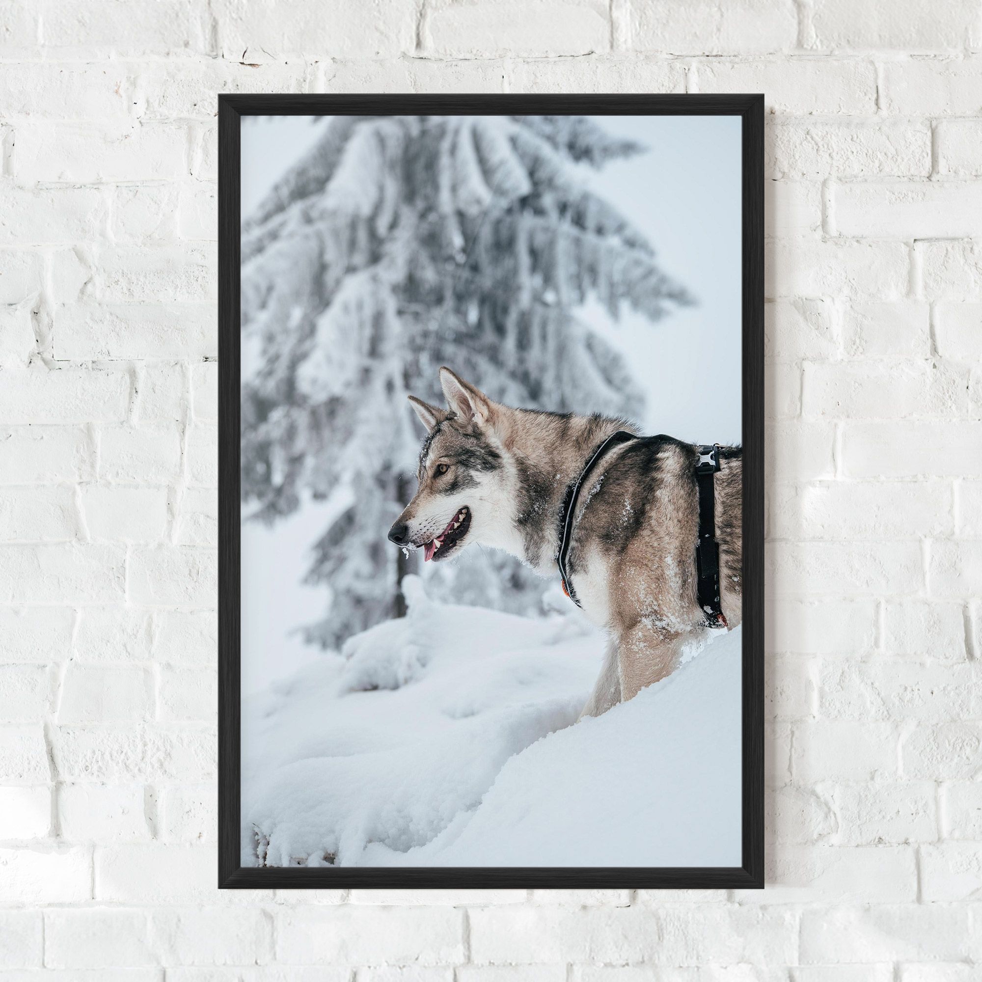 Snow Wolf mockup 0