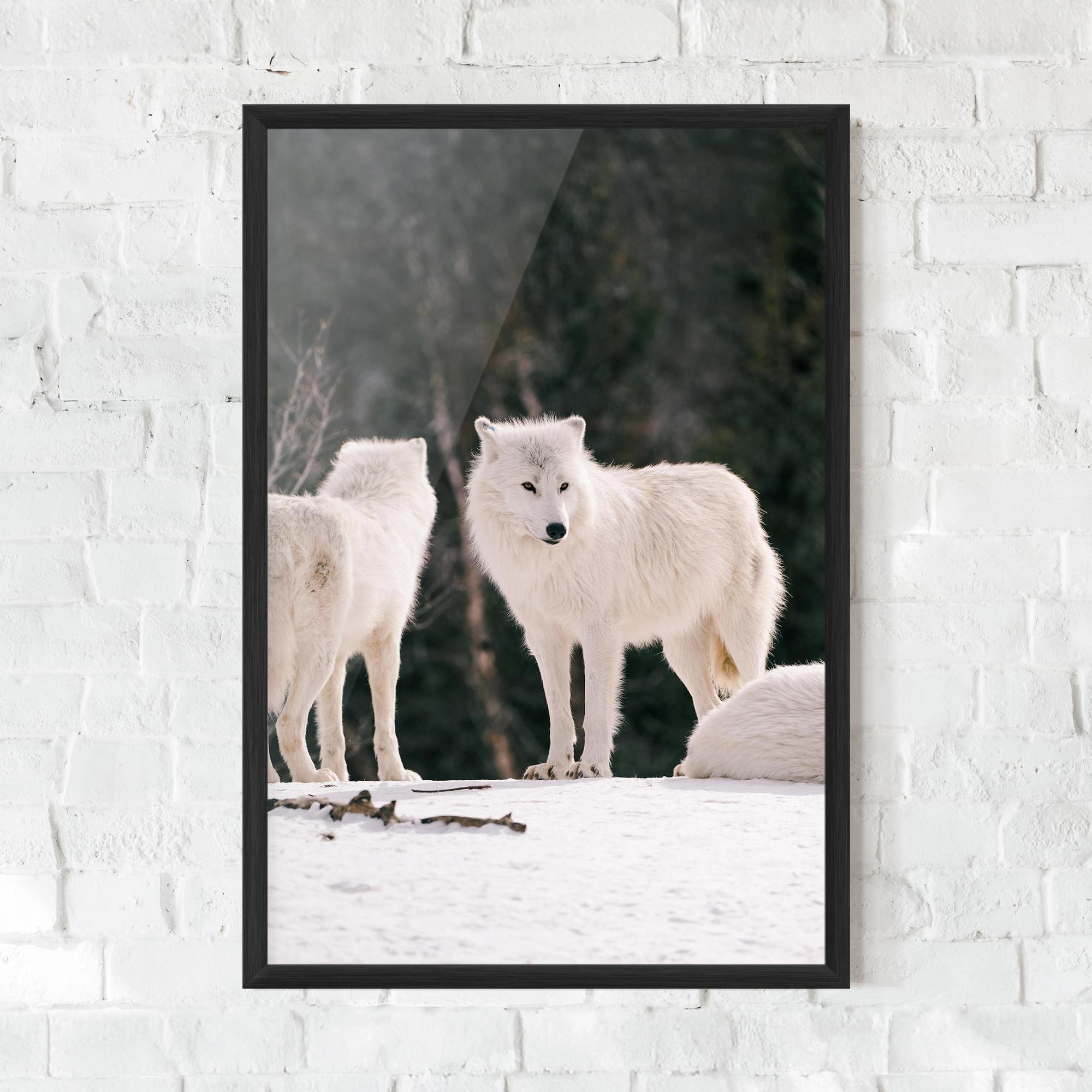 Рамкиран постер White Wolf Waiting mockup 0