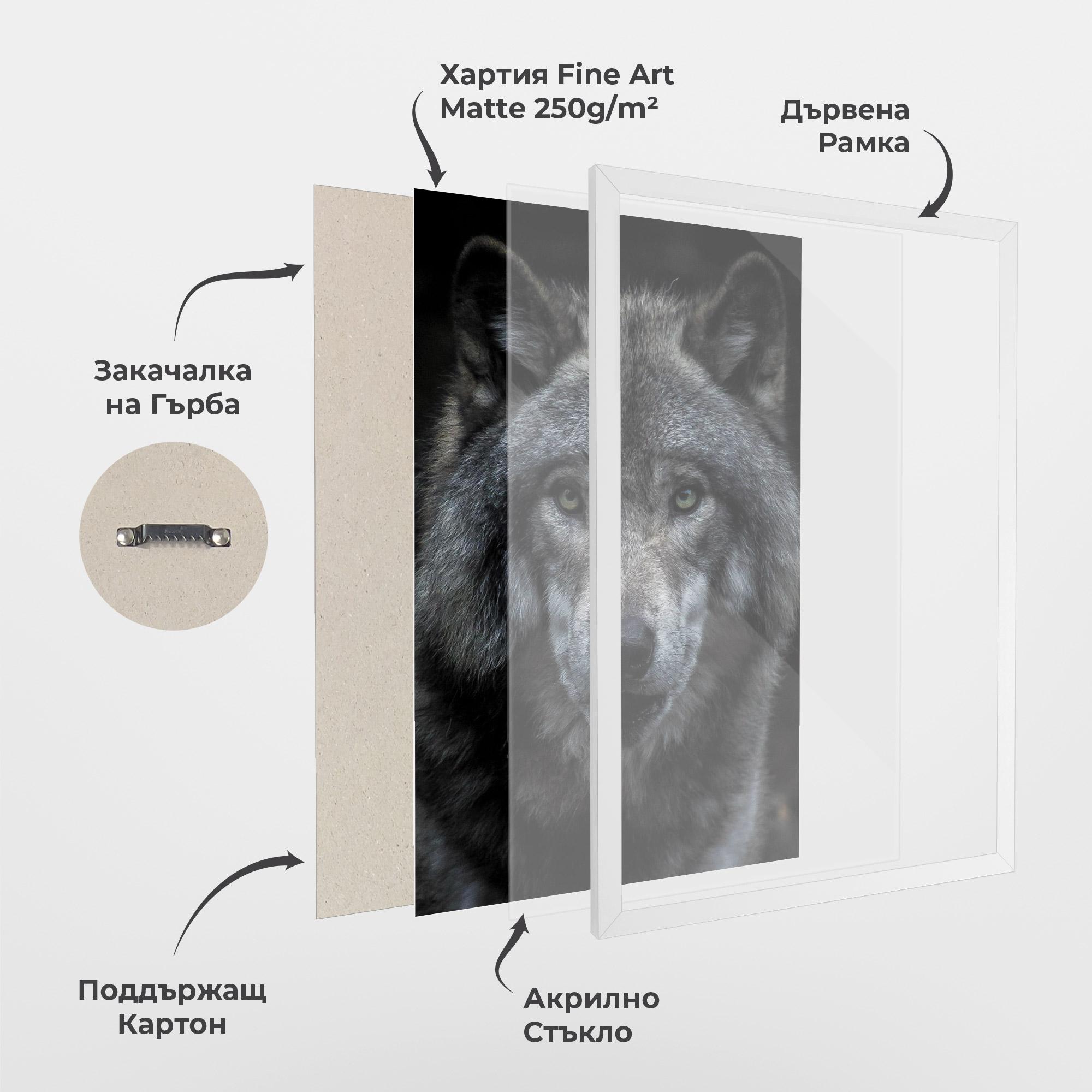 Рамкиран постер Angry Wolf mockup 1