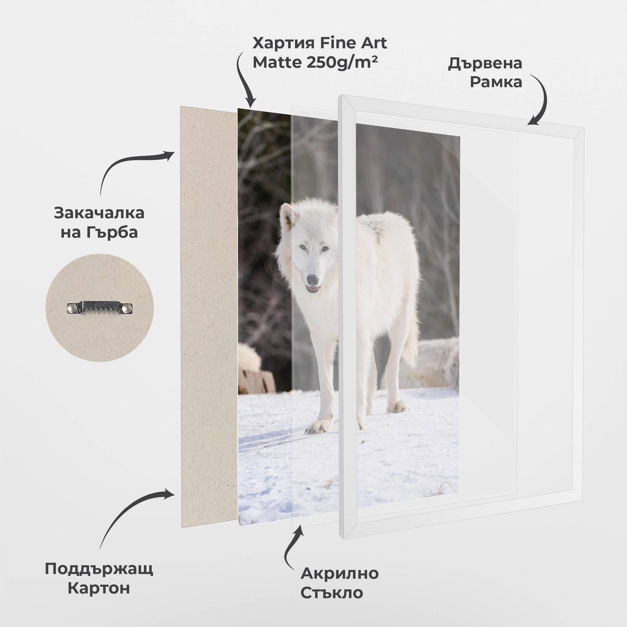Рамкиран постер Beautiful White Wolf mockup 1