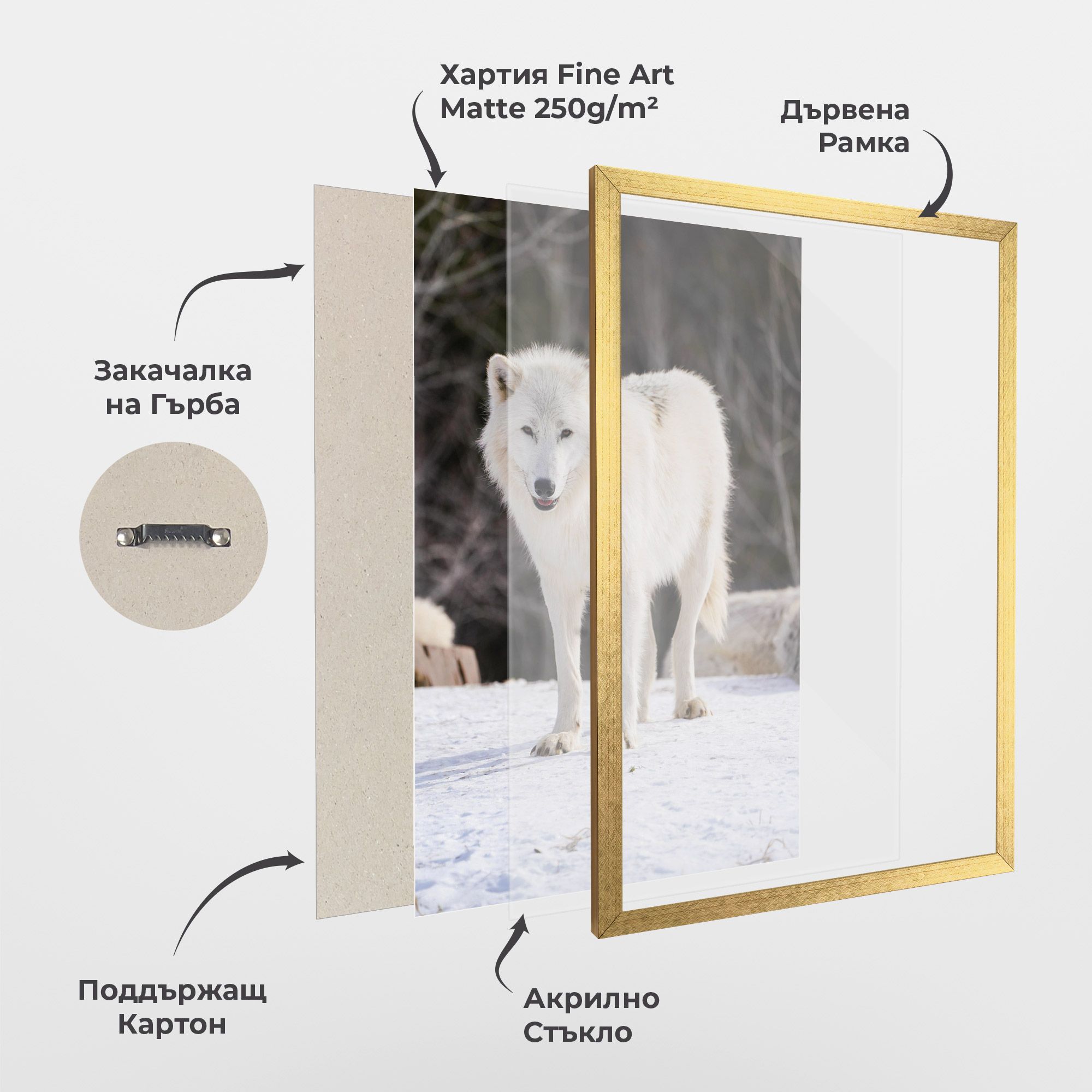 Beautiful White Wolf mockup 1
