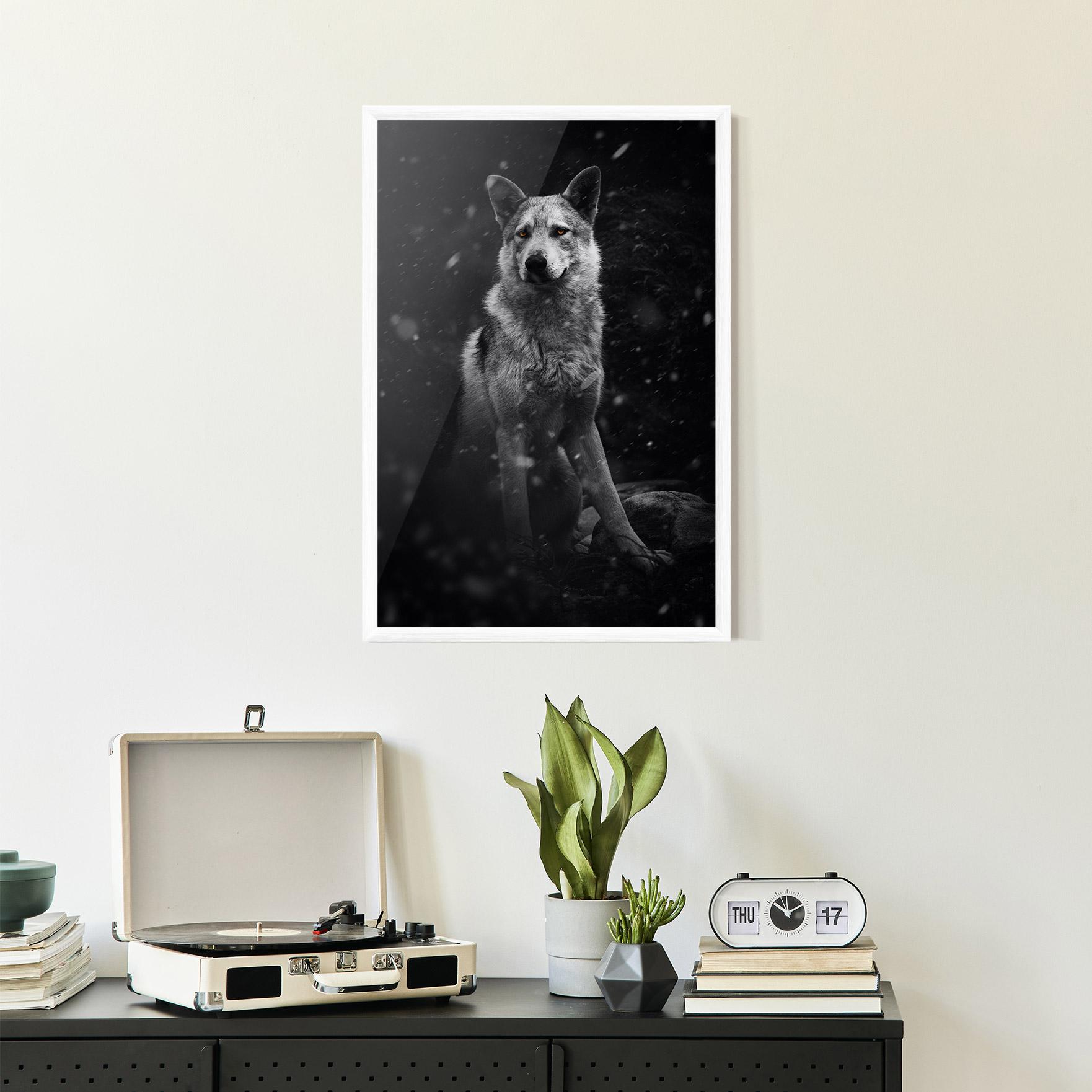 Рамкиран постер Sitting Wolf mockup 2
