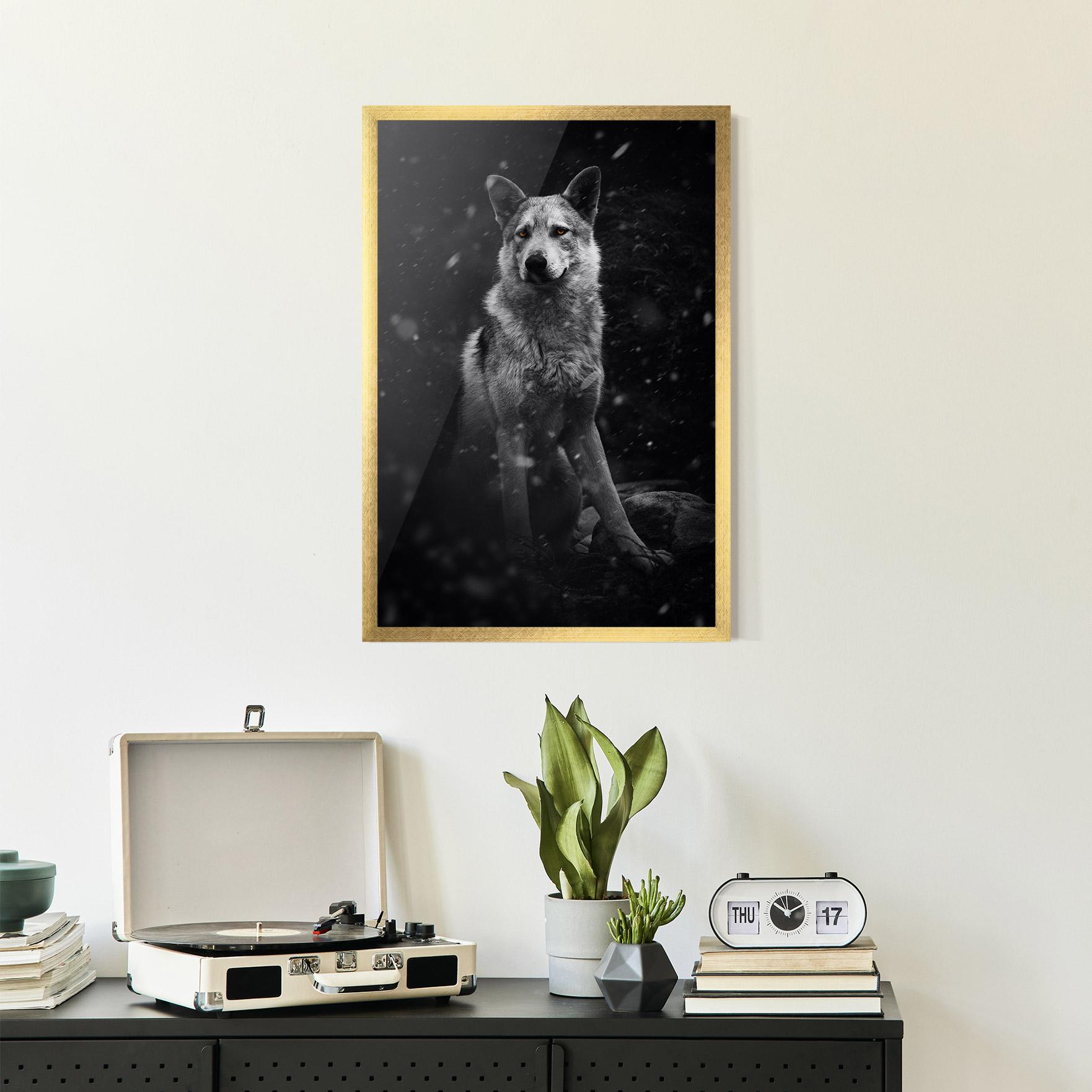 Рамкиран постер Sitting Wolf mockup 2
