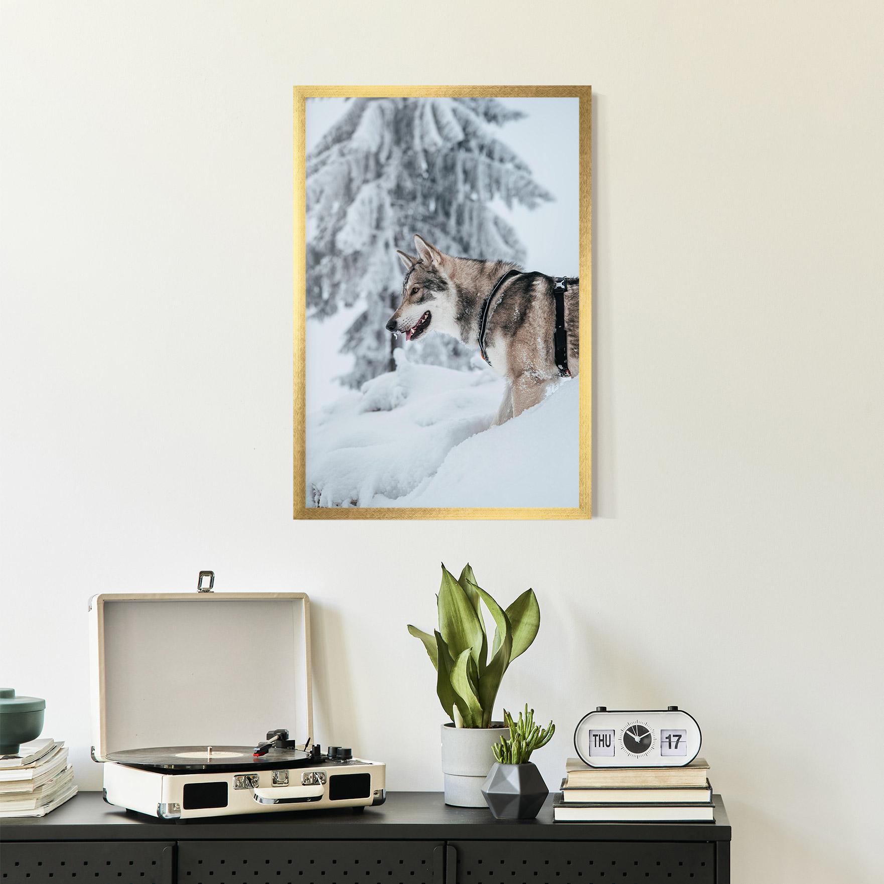 Рамкиран постер Snow Wolf mockup 2