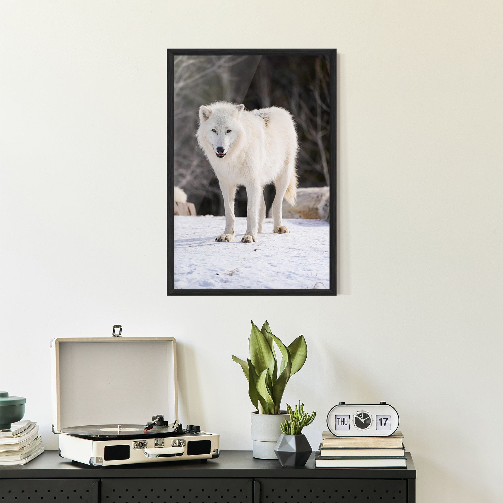 Beautiful White Wolf mockup 2