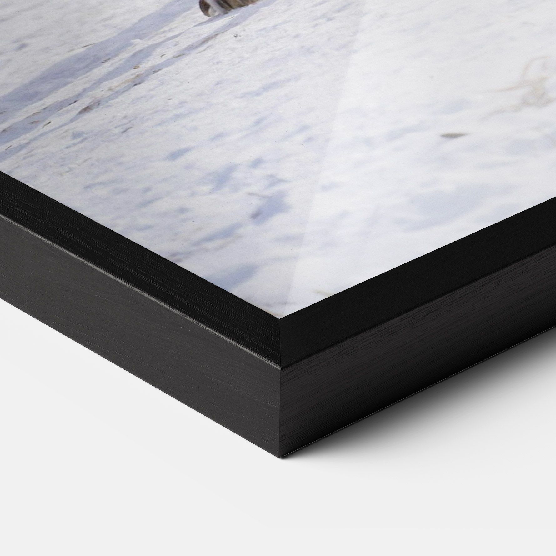 Beautiful White Wolf mockup 3