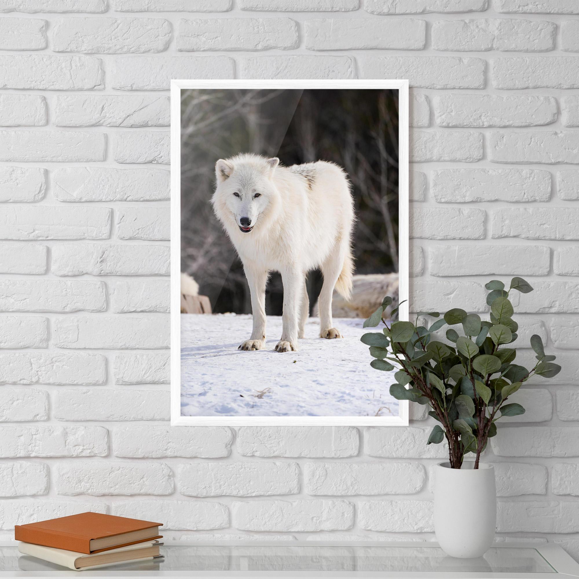 Рамкиран постер Beautiful White Wolf mockup 5