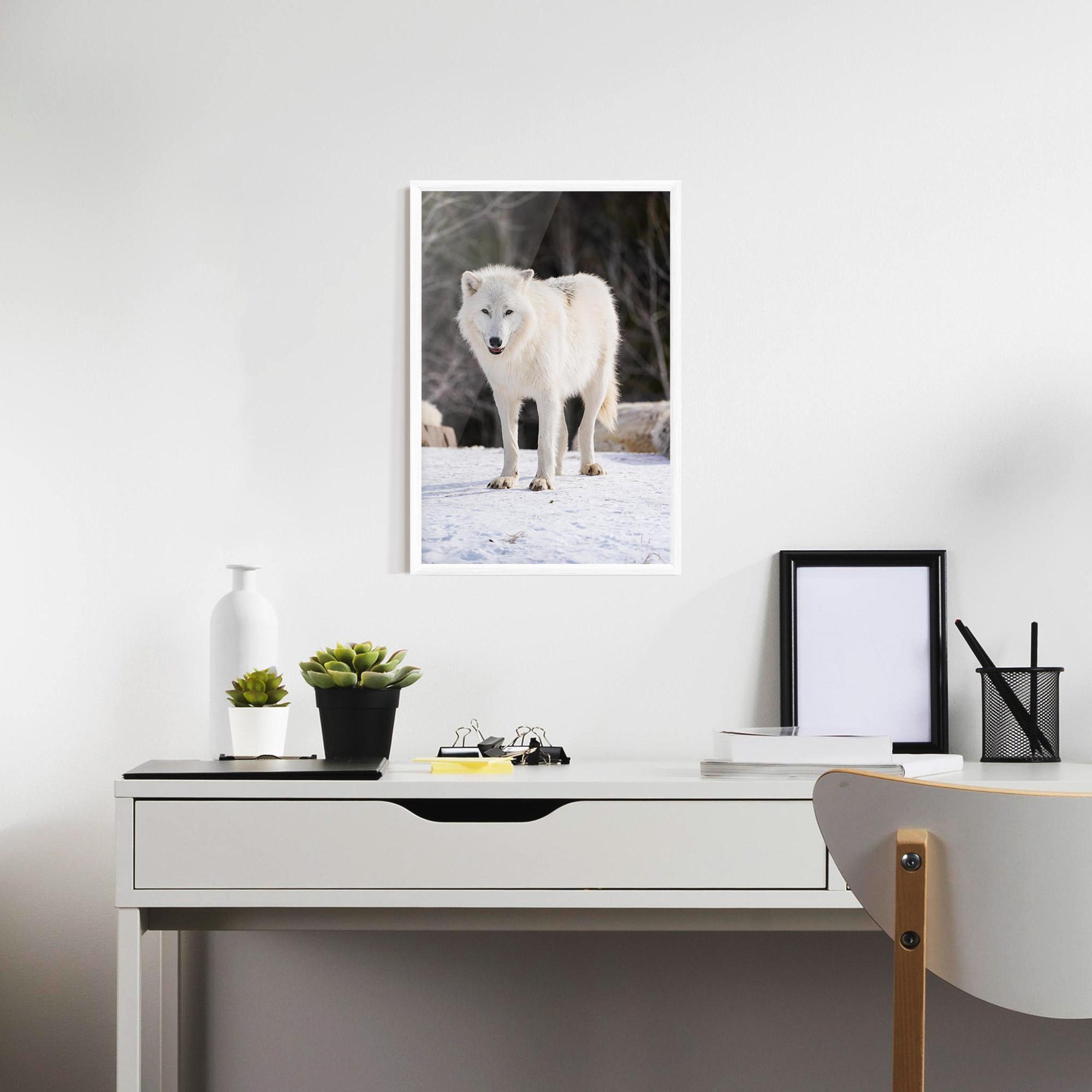 Рамкиран постер Beautiful White Wolf mockup 7