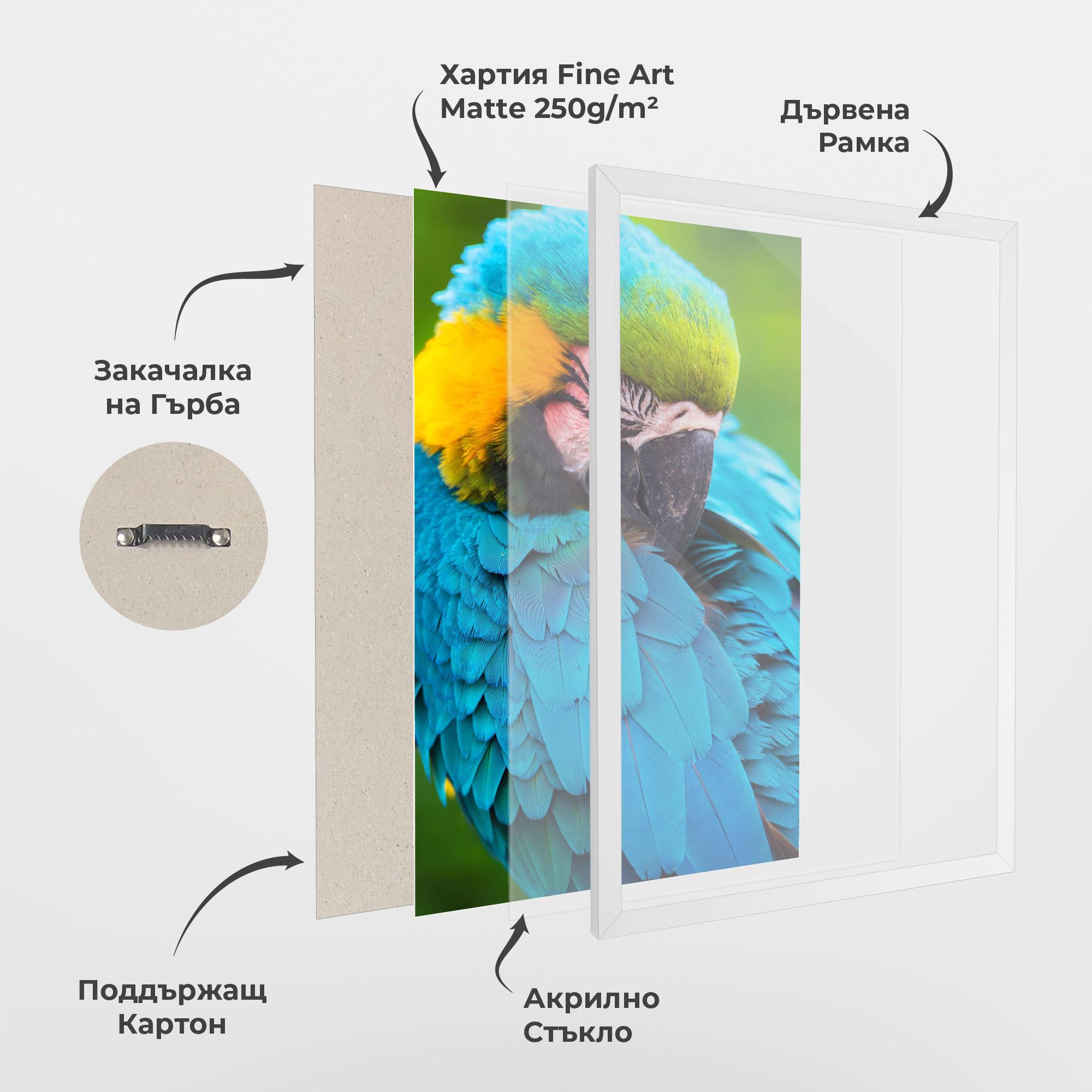 Рамкиран постер Blue Parrot mockup 1