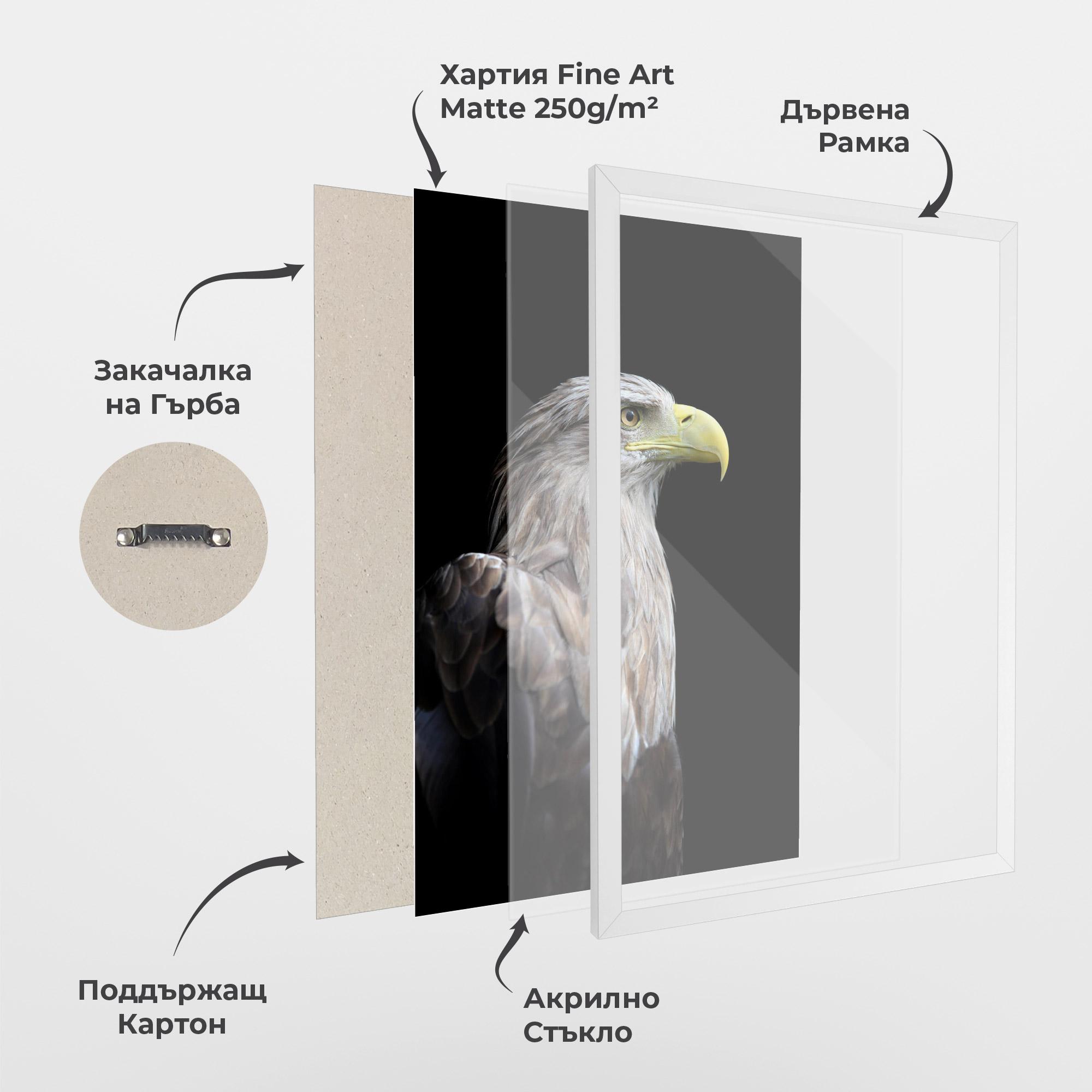 Рамкиран постер Close Up Eagle mockup 1