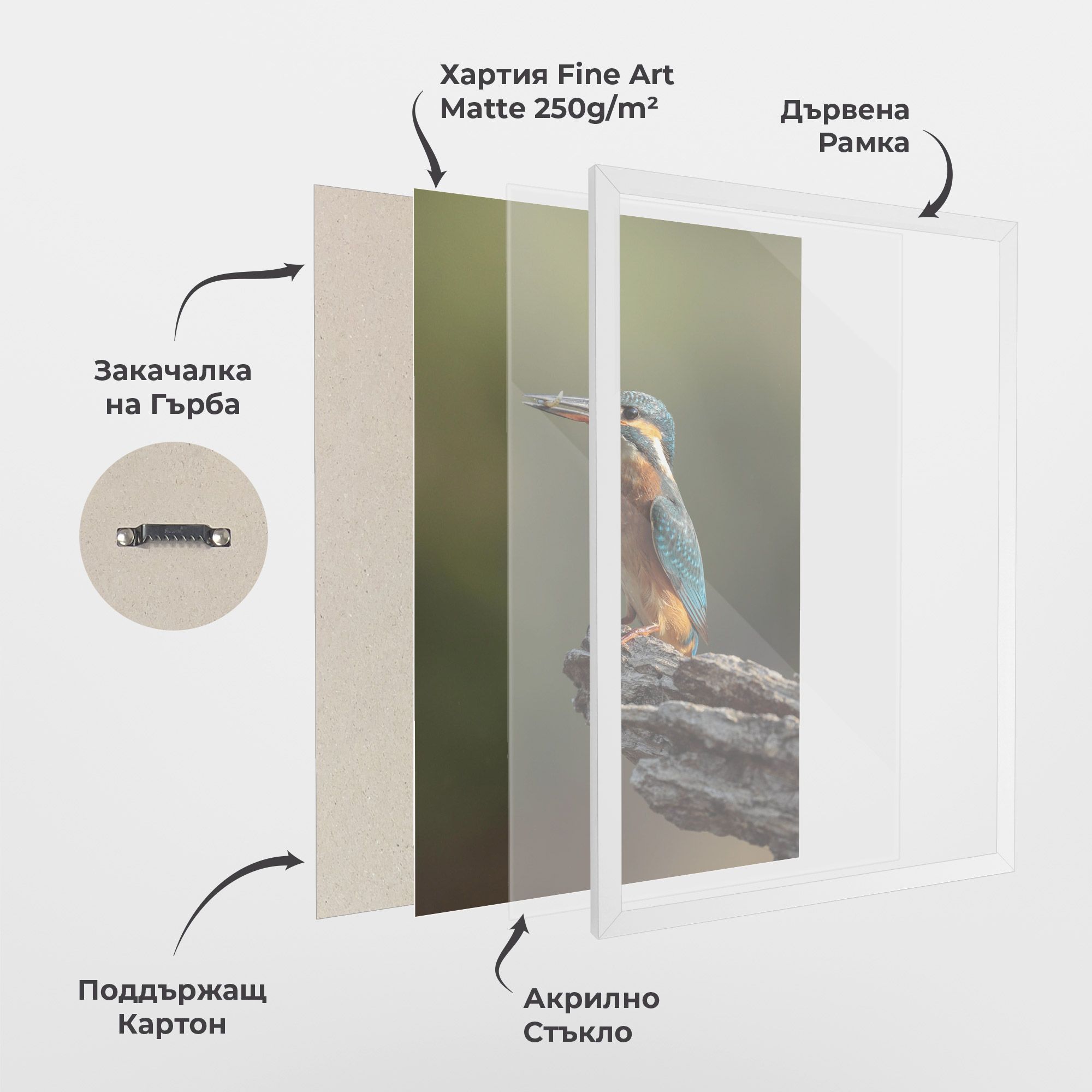 Female Kingfisher mockup 1