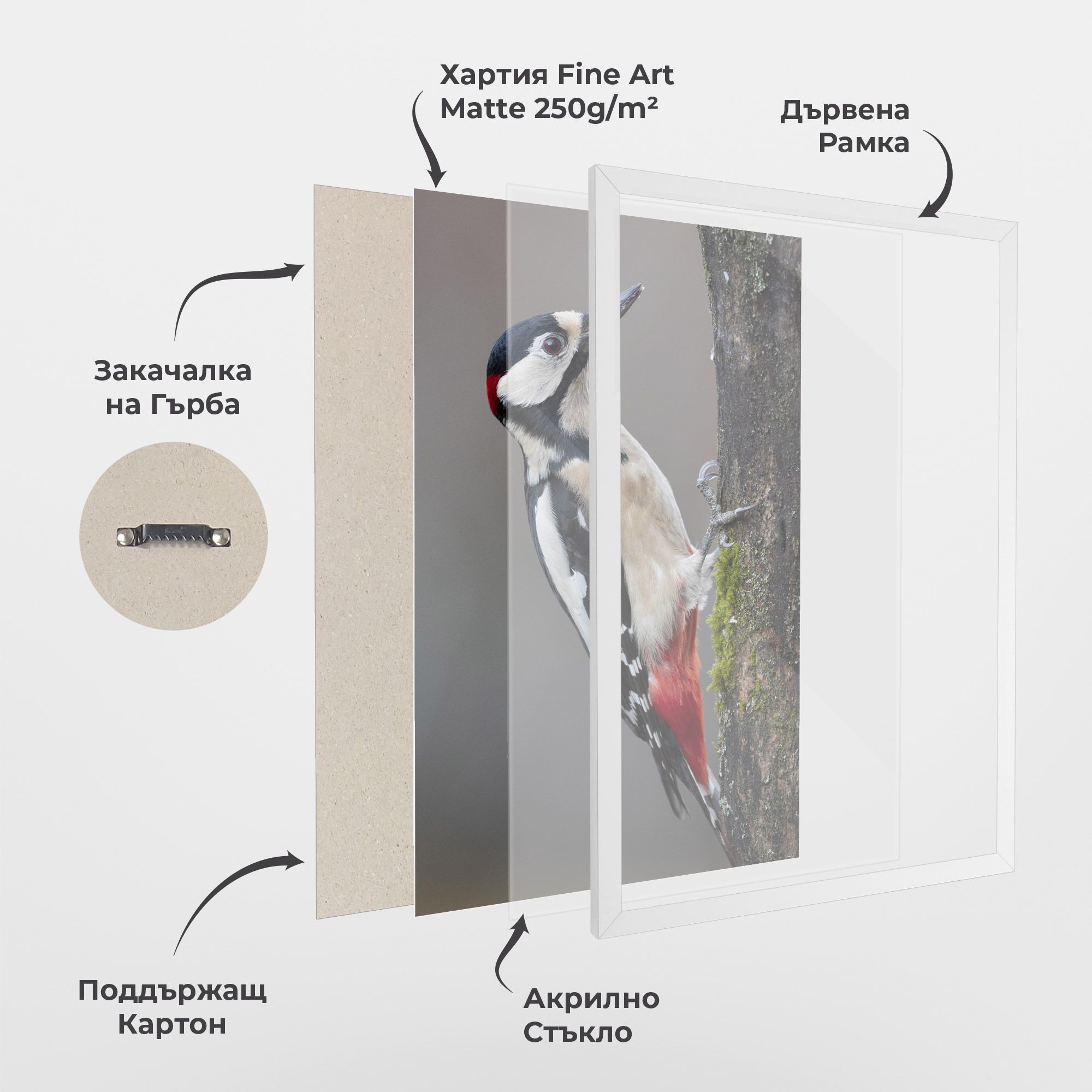 Woodpecker mockup 1