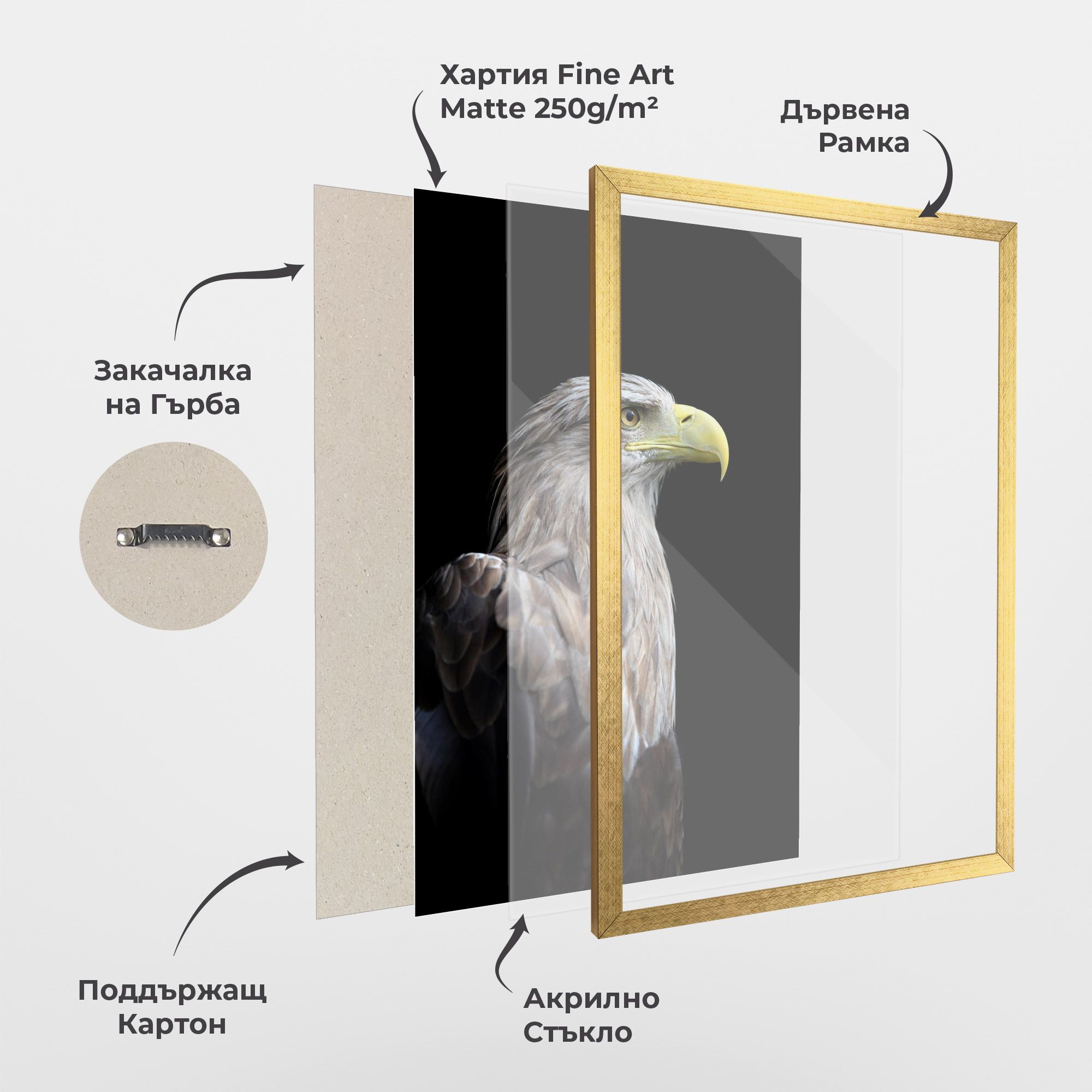 Close Up Eagle mockup 1