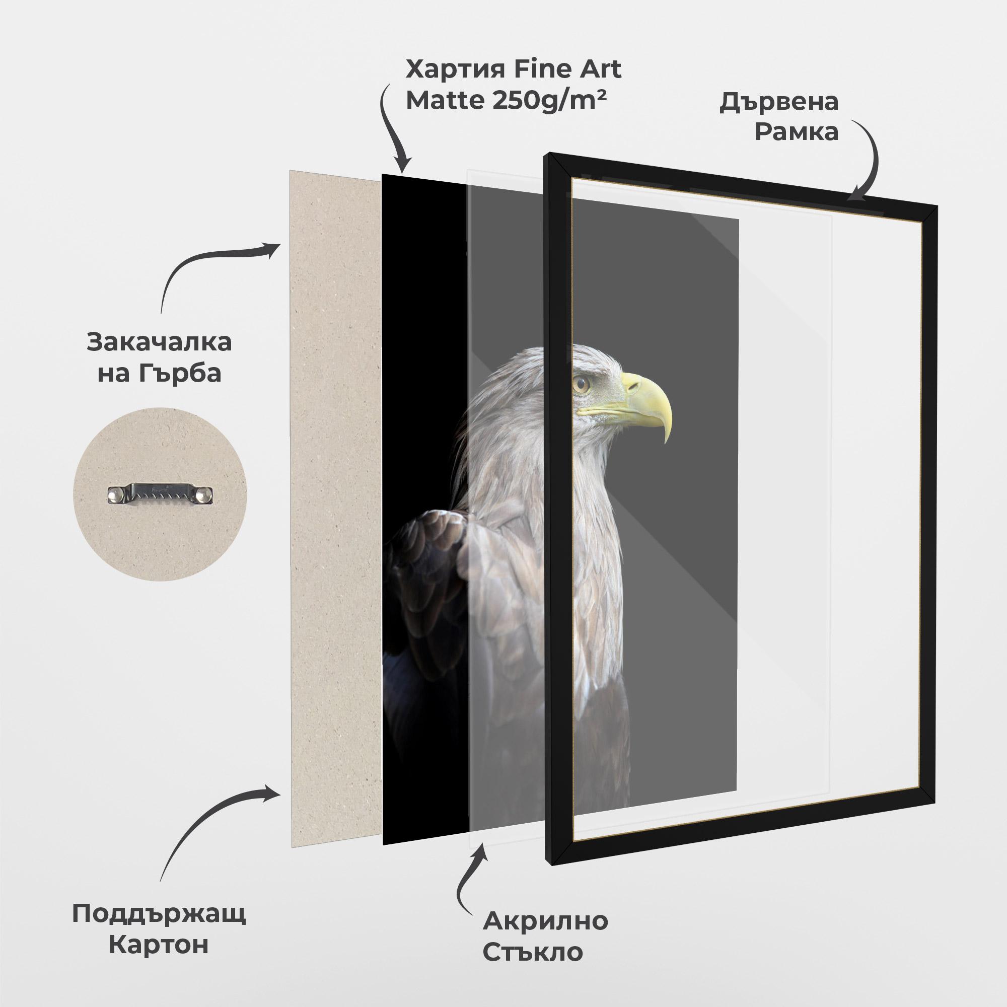 Рамкиран постер Close Up Eagle mockup 1