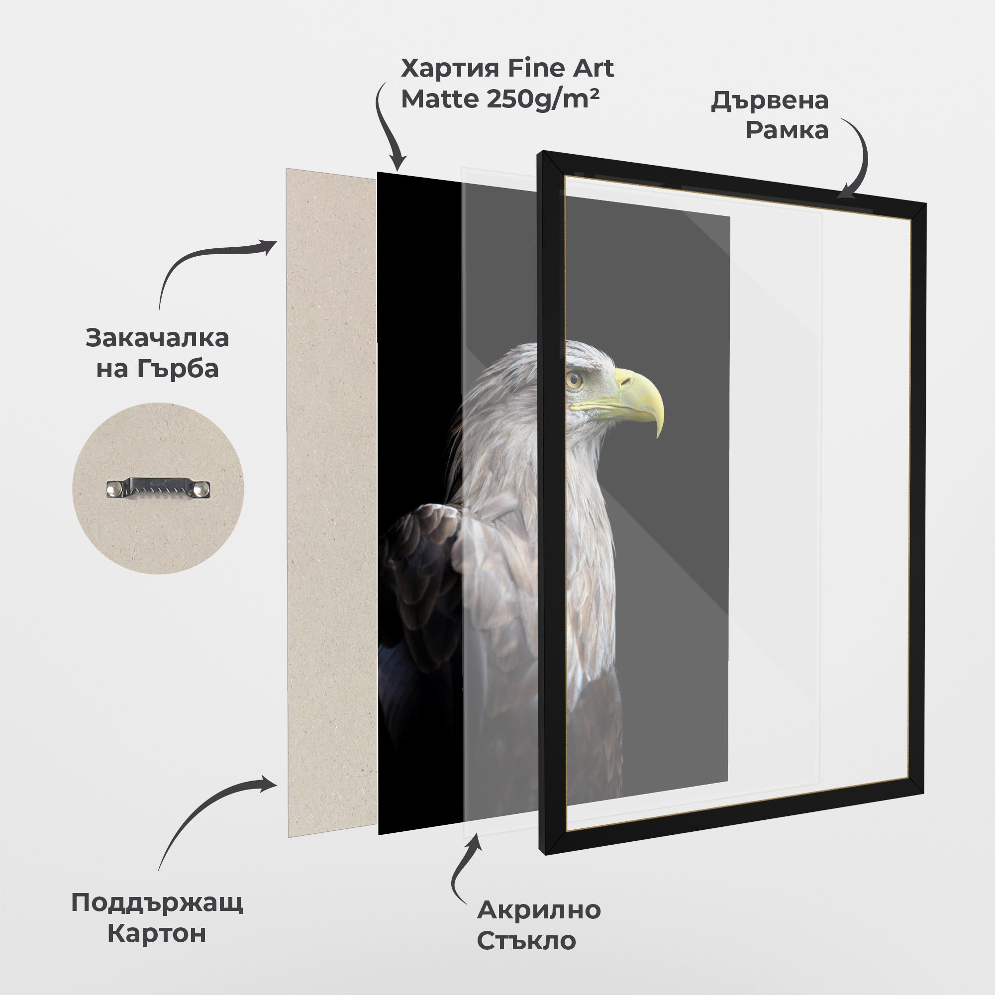 Close Up Eagle mockup 1