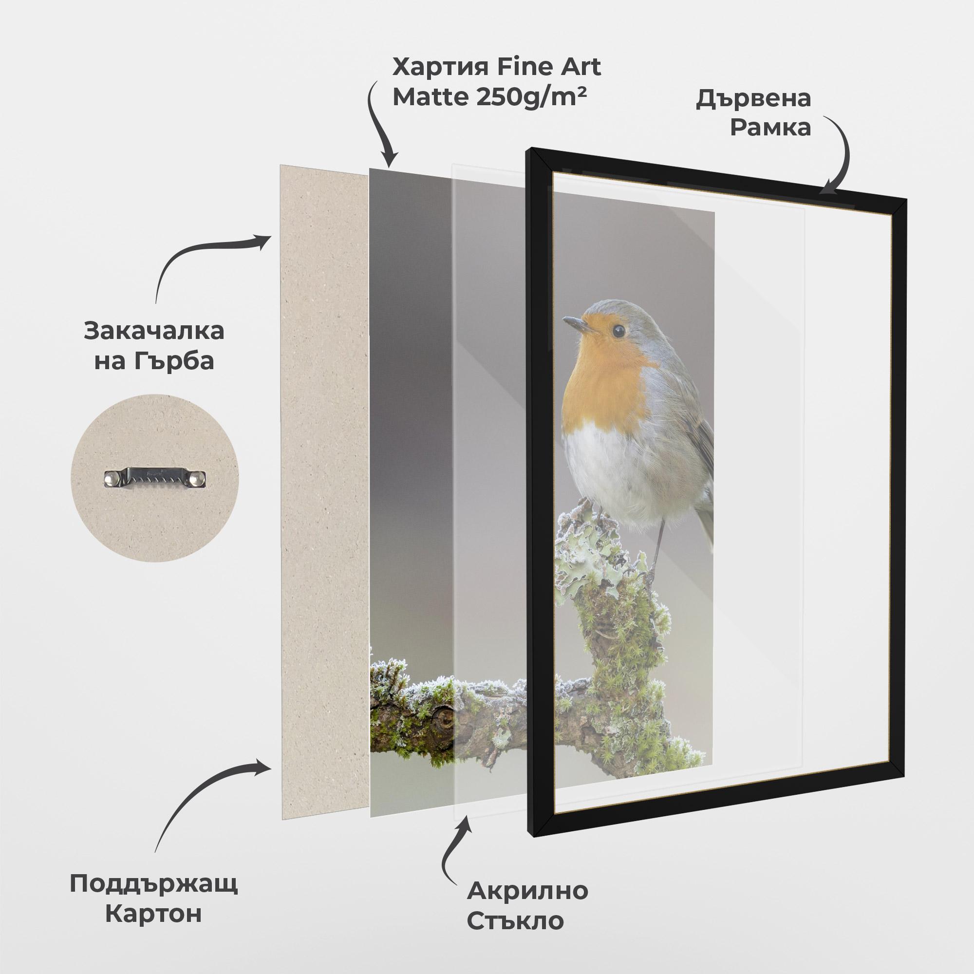 Рамкиран постер Erithacus Bird mockup 1