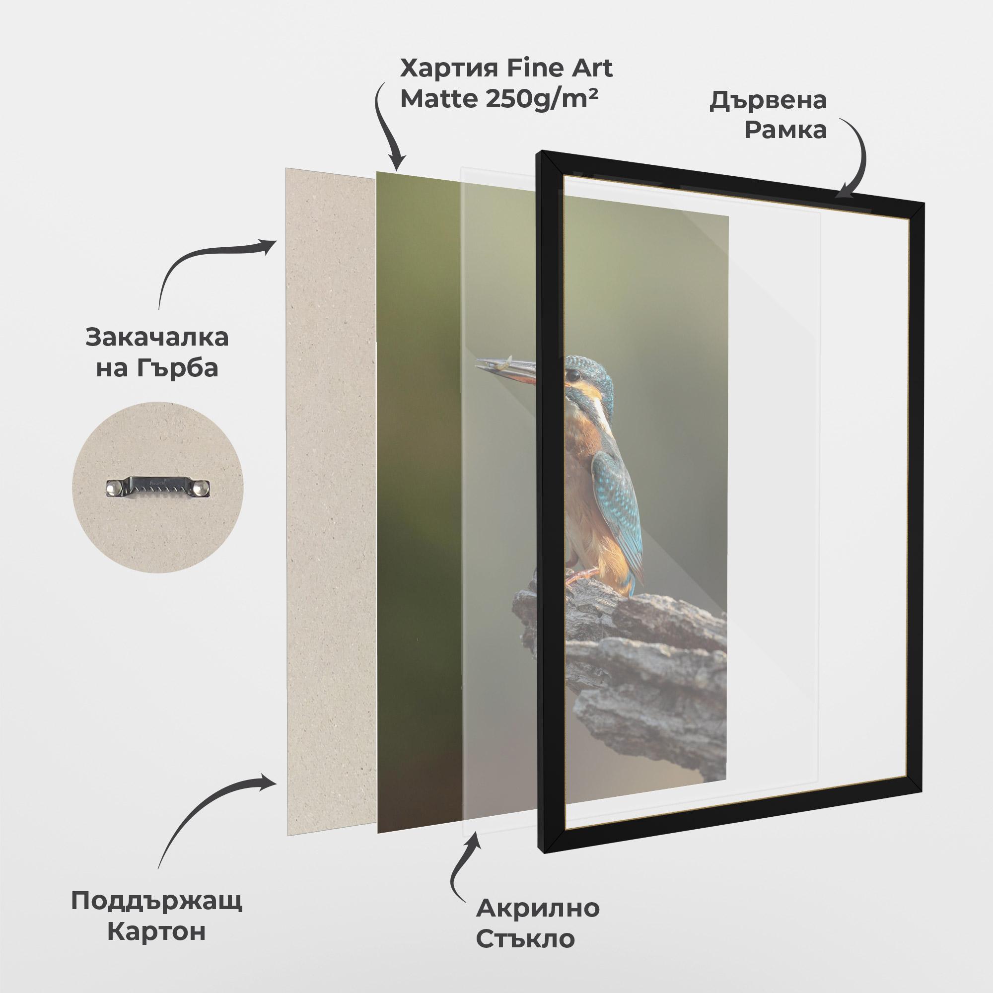 Рамкиран постер Female Kingfisher mockup 1