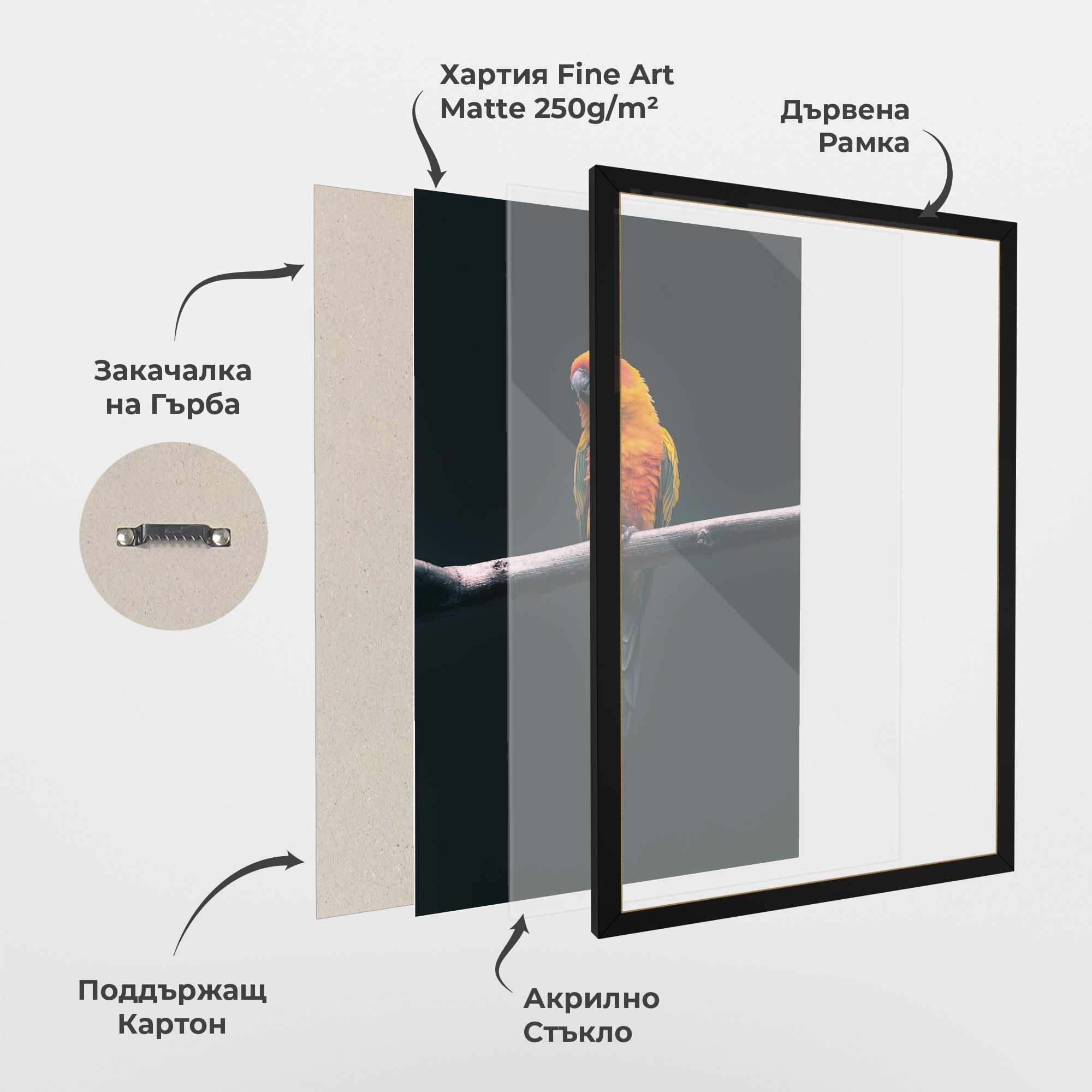 Fire Parrot mockup 1