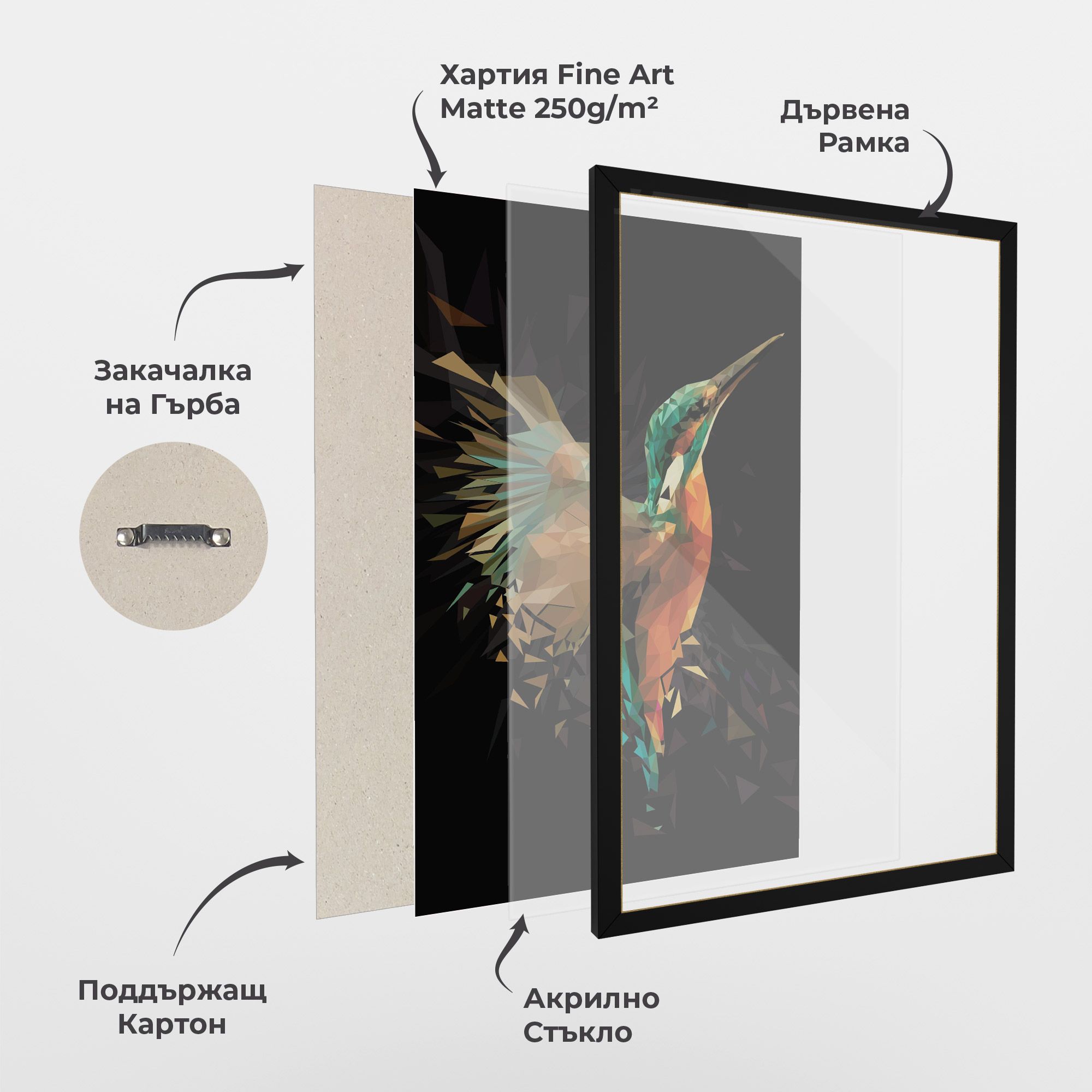 Hummingbird Splash mockup 1