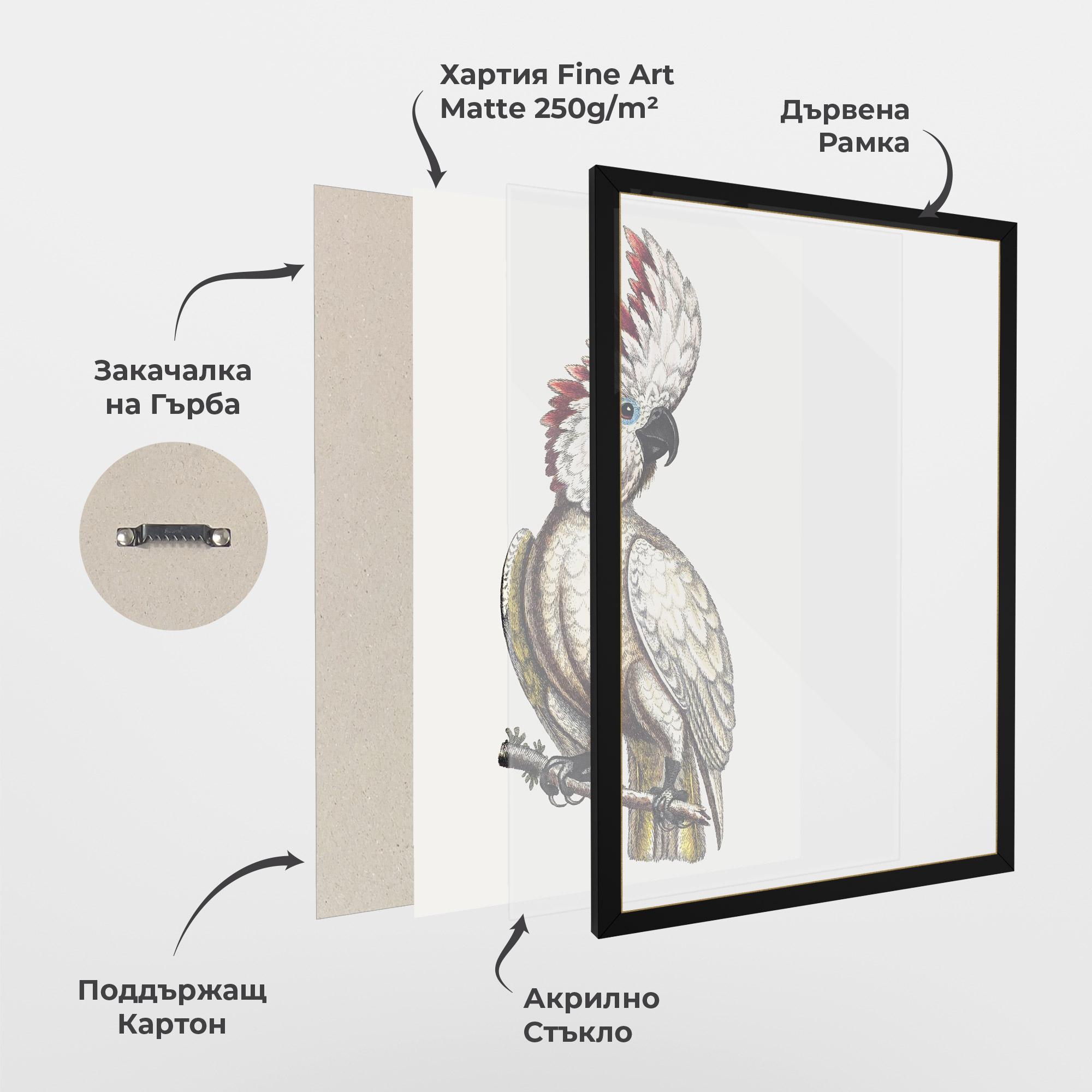 Рамкиран постер Interesting Bird mockup 1