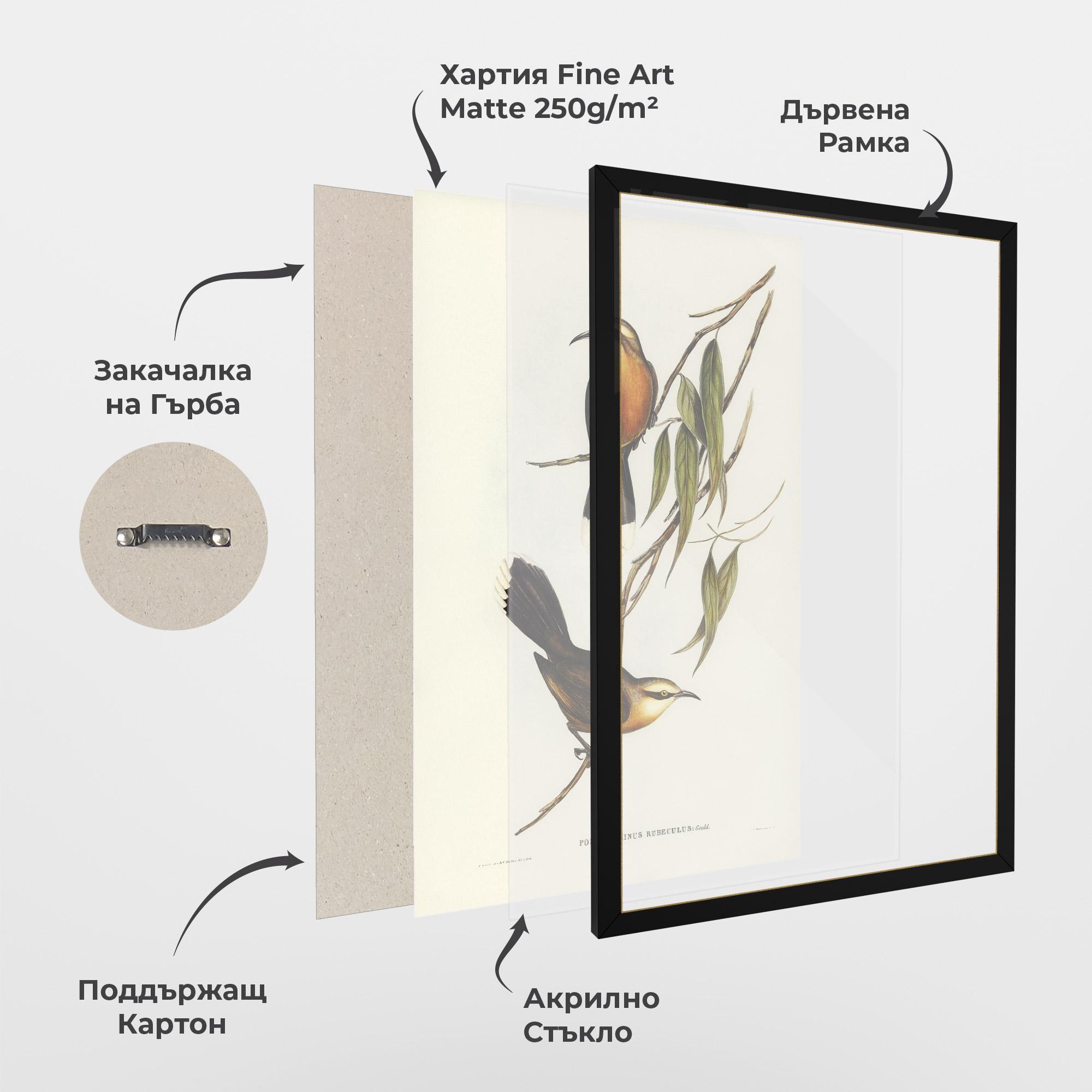 Рамкиран постер Red Pomatorhinus mockup 1