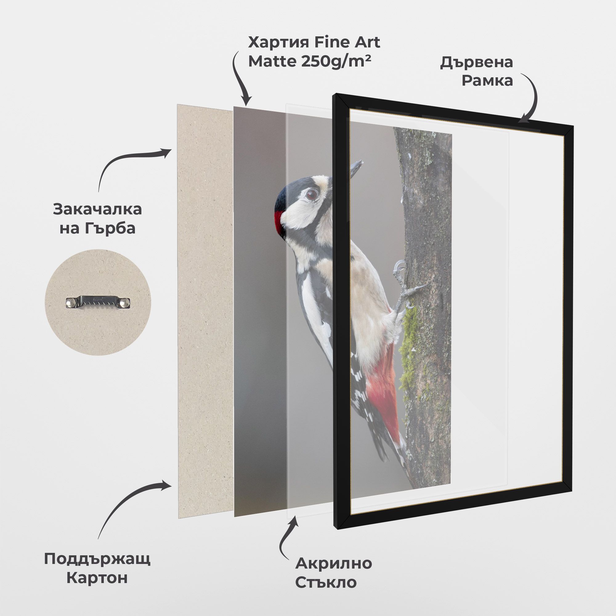 Woodpecker mockup 1