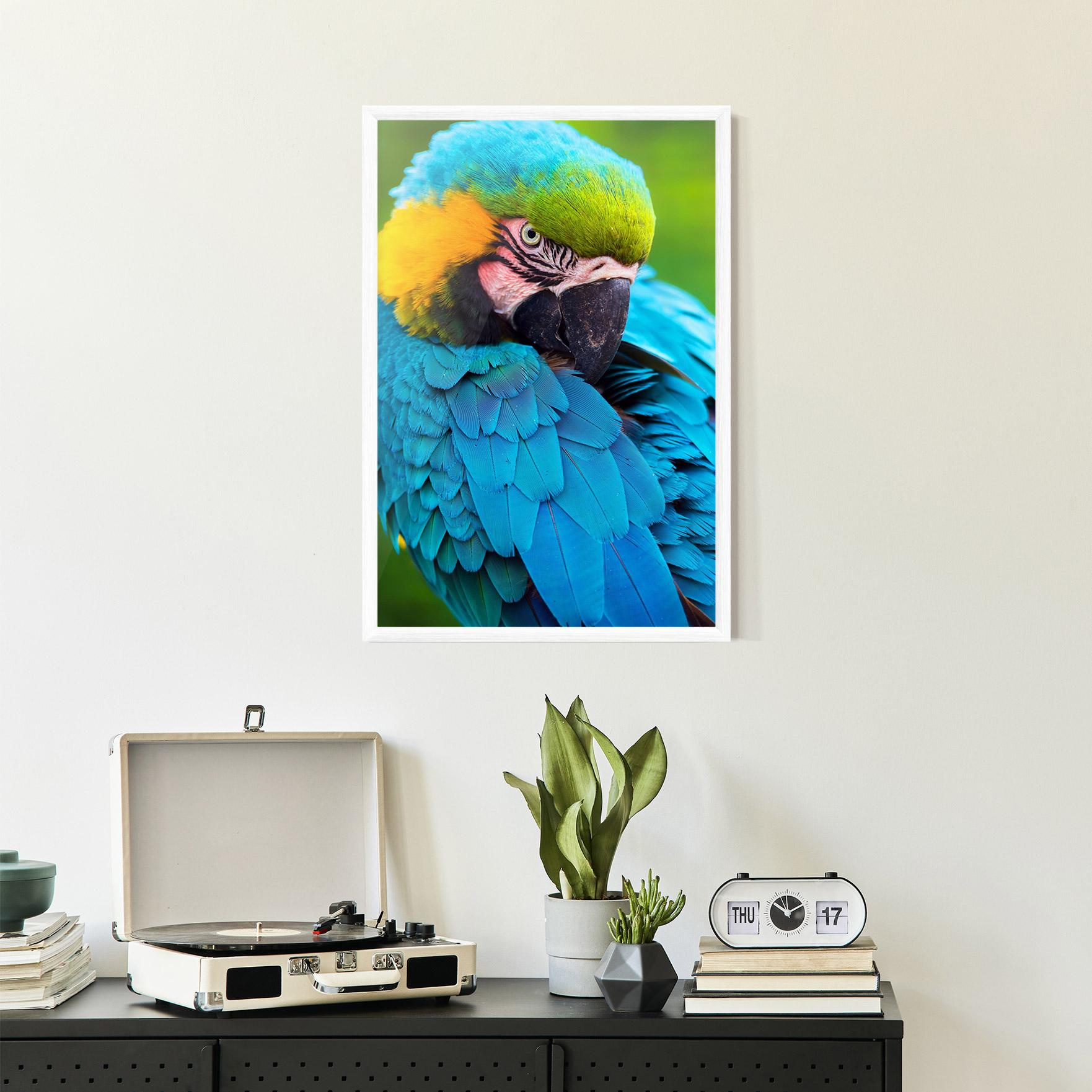 Рамкиран постер Blue Parrot mockup 2