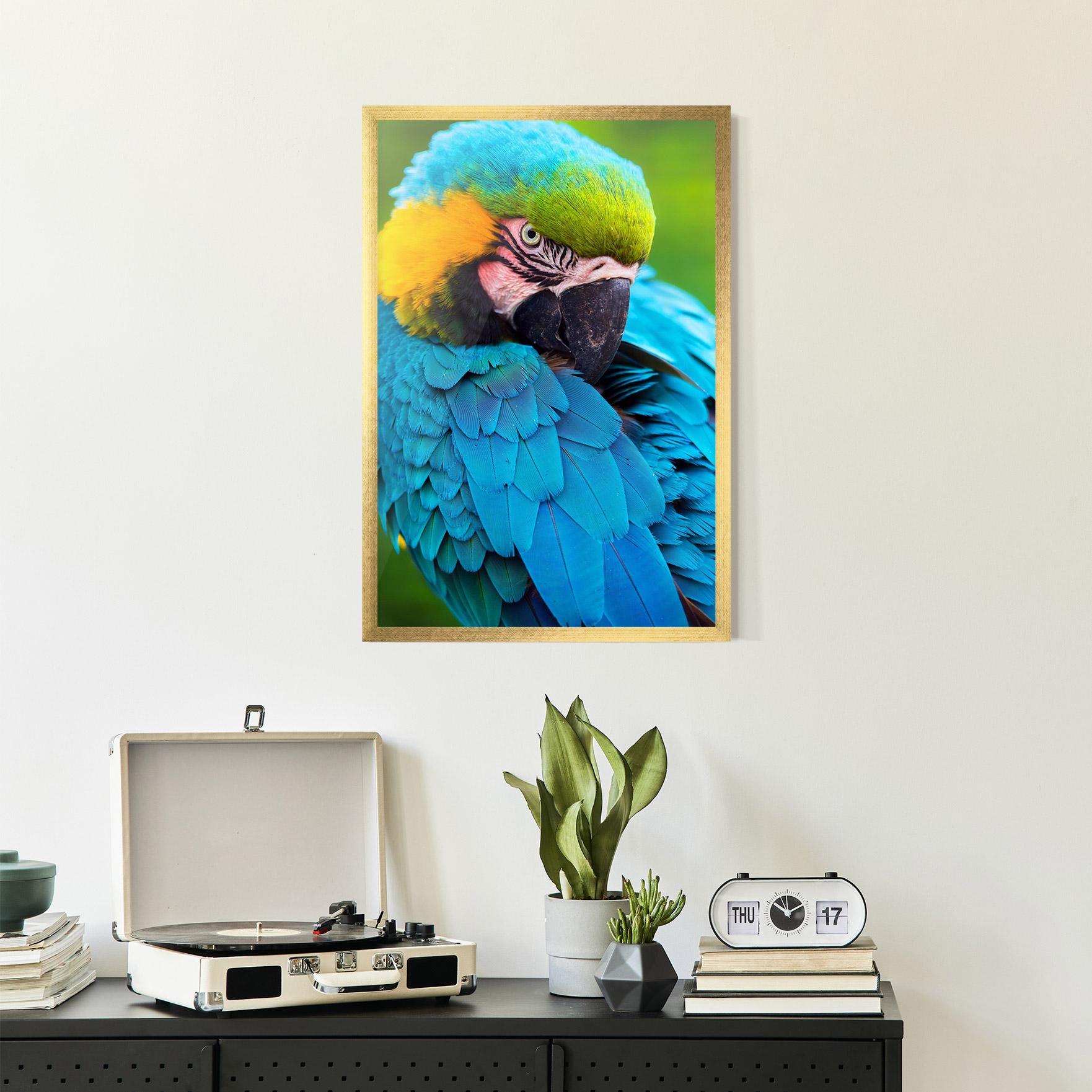 Рамкиран постер Blue Parrot mockup 2