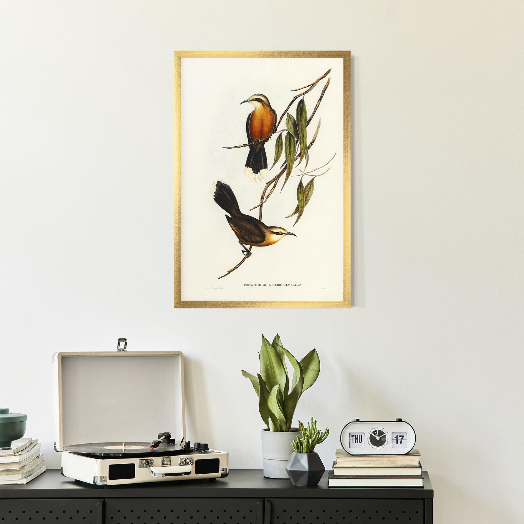 Рамкиран постер Red Pomatorhinus mockup 2