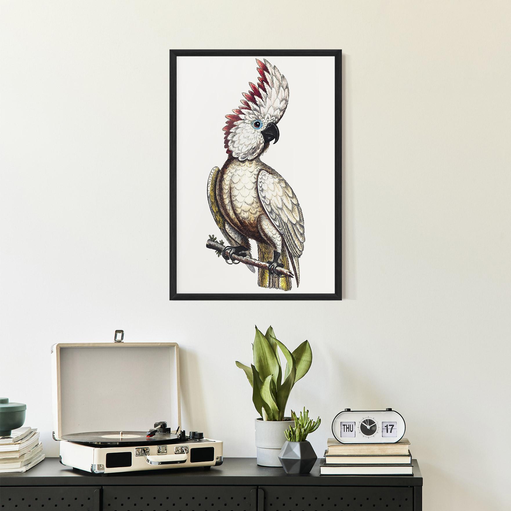 Рамкиран постер Interesting Bird mockup 2