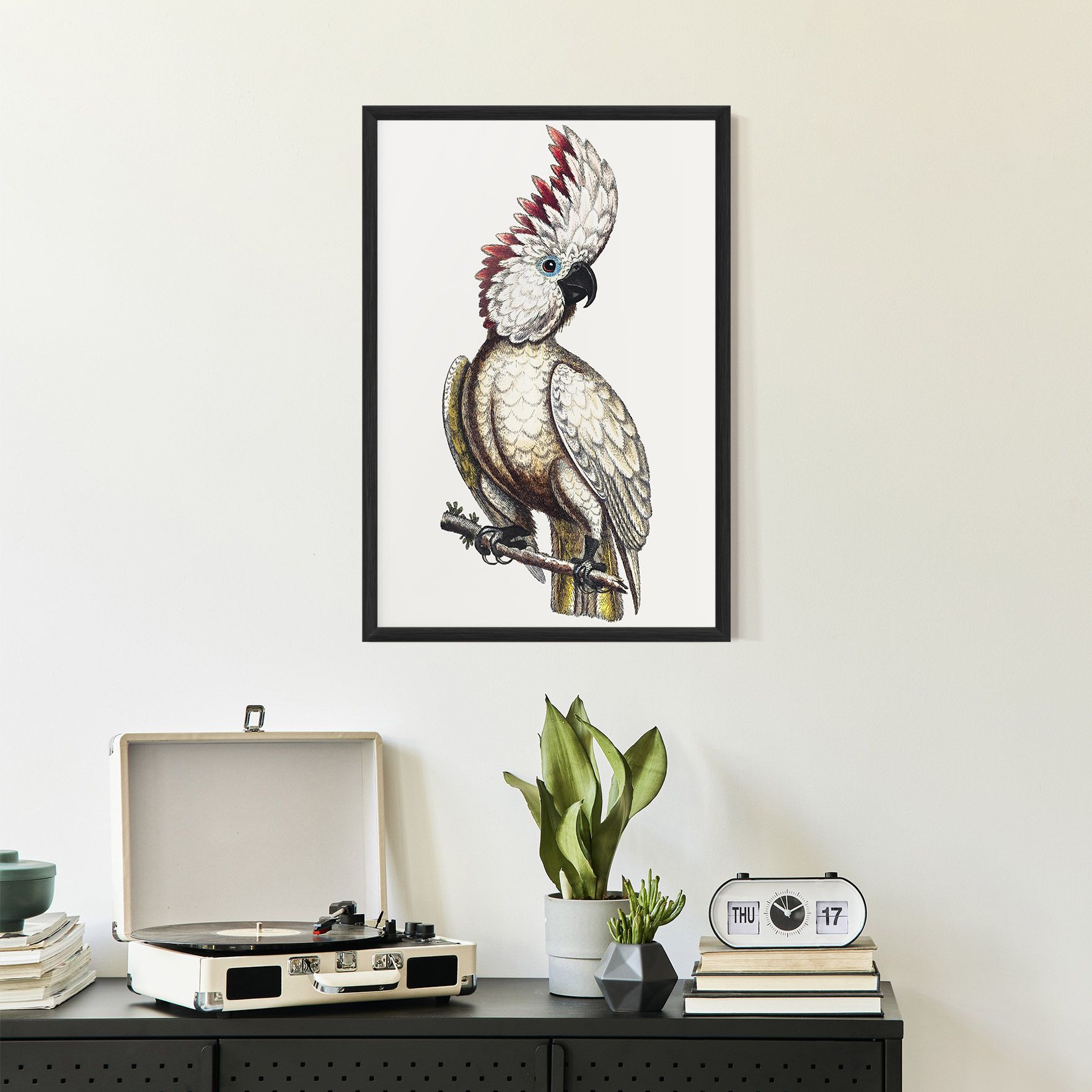 Interesting Bird mockup 2