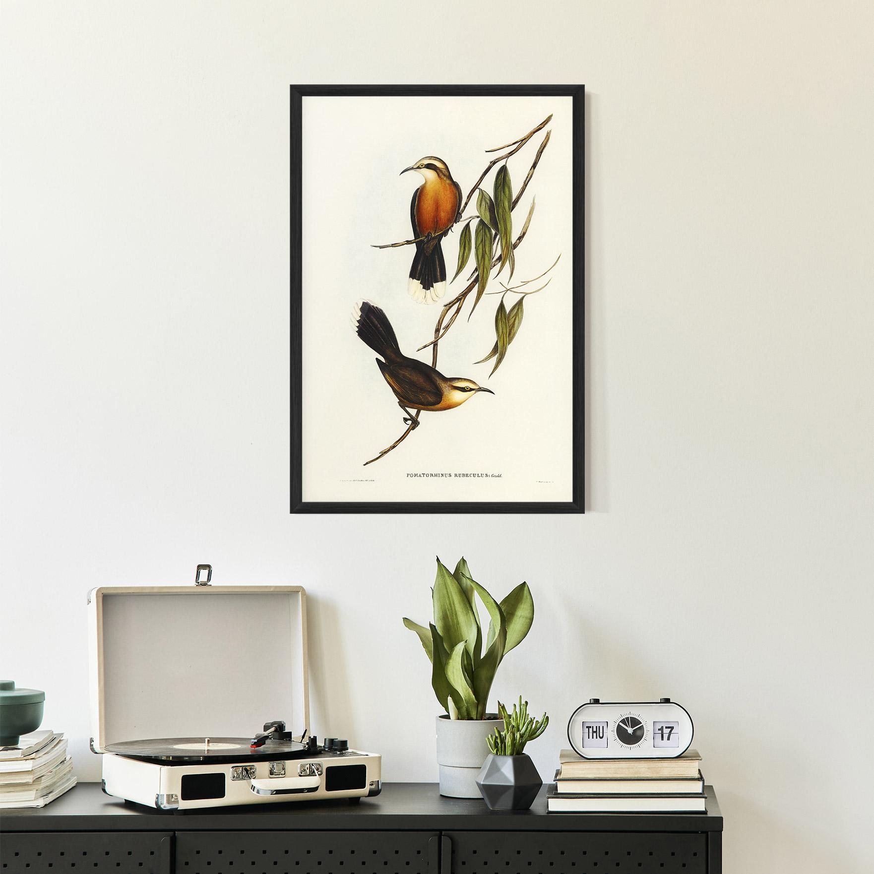 Рамкиран постер Red Pomatorhinus mockup 2