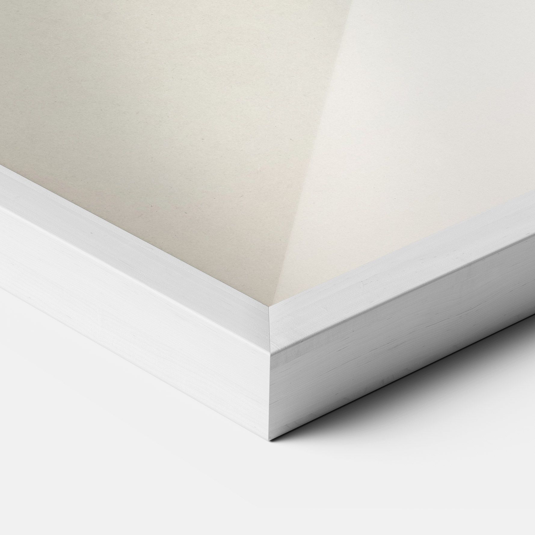 Astur Gentilis mockup 3