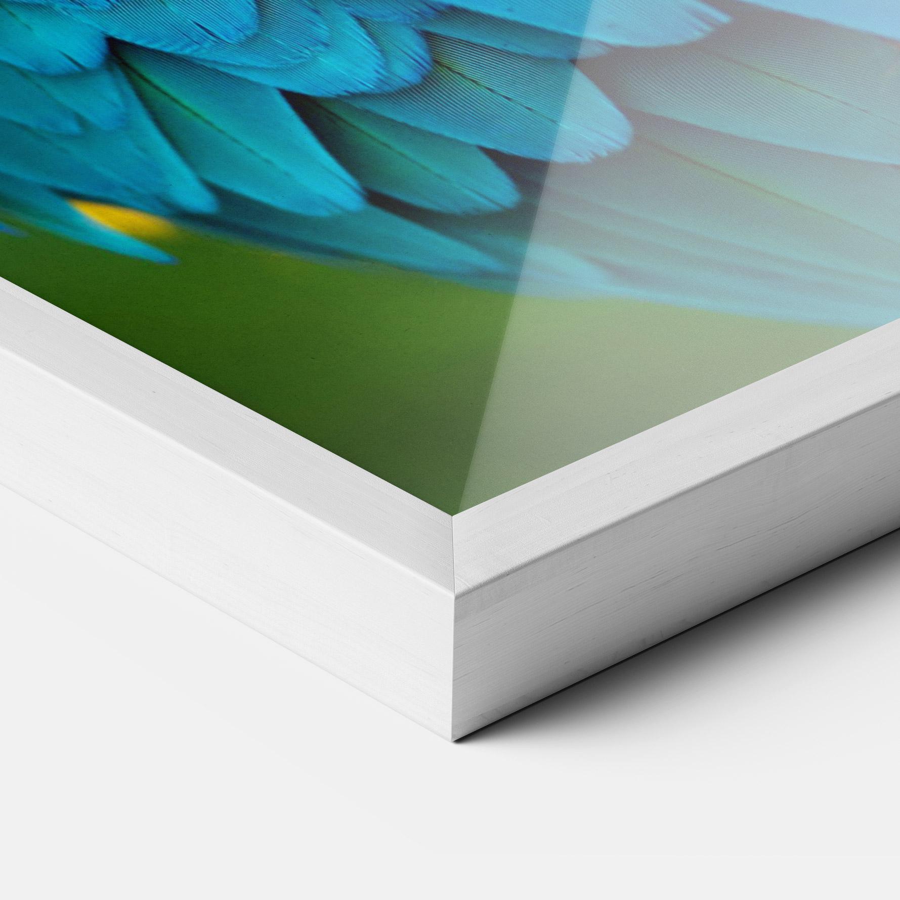 Рамкиран постер Blue Parrot mockup 3