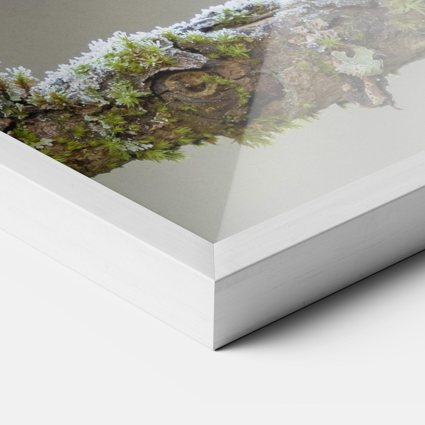 Рамкиран постер Erithacus Bird mockup 3