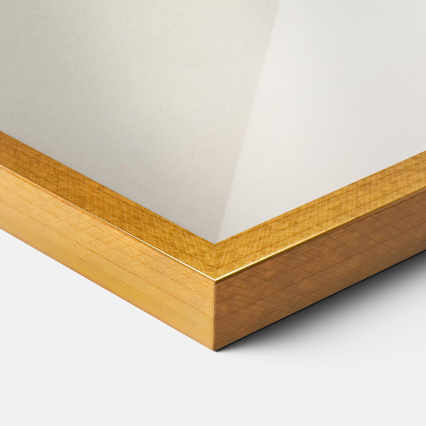 Astur Gentilis mockup 3