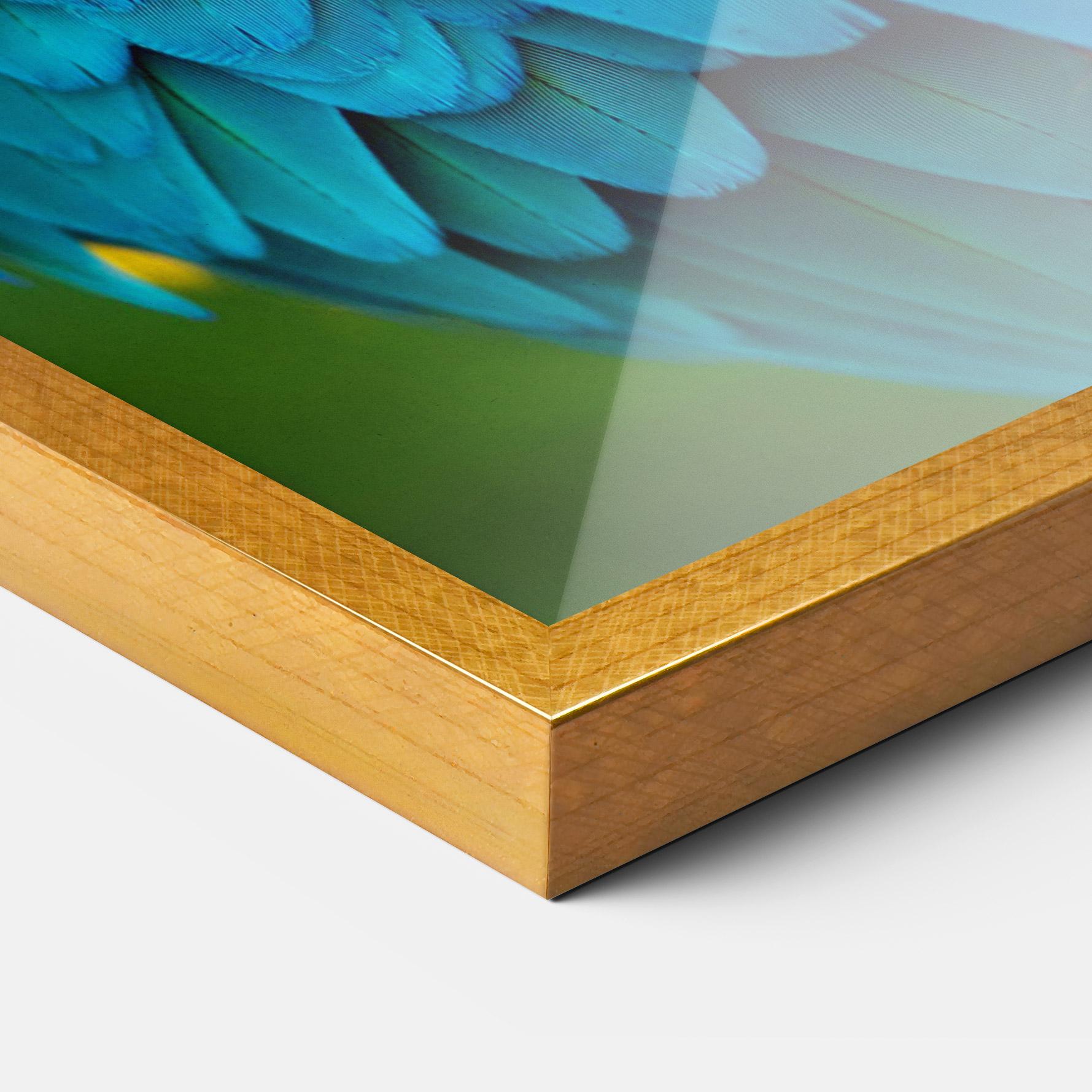 Рамкиран постер Blue Parrot mockup 3