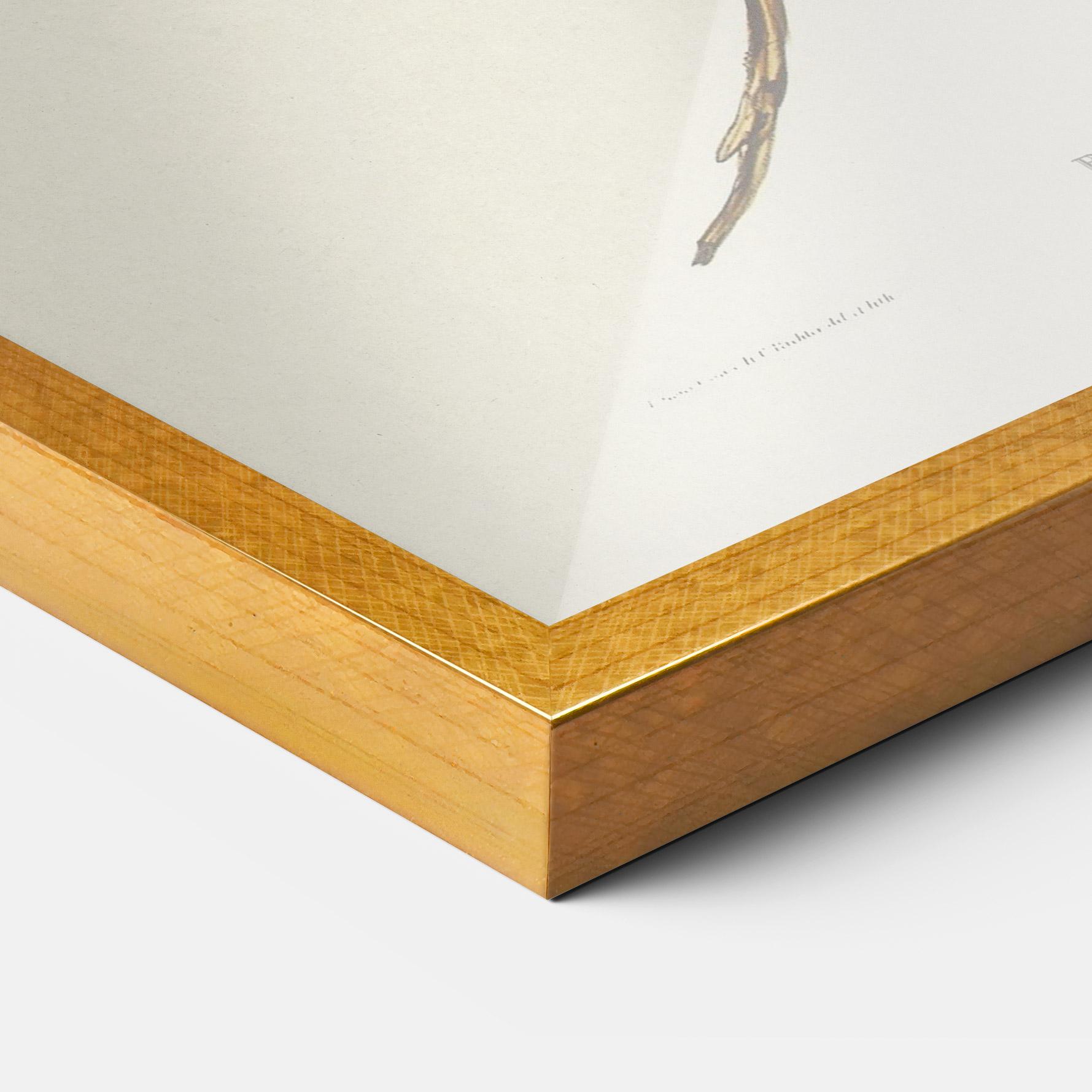 Рамкиран постер Red Pomatorhinus mockup 3