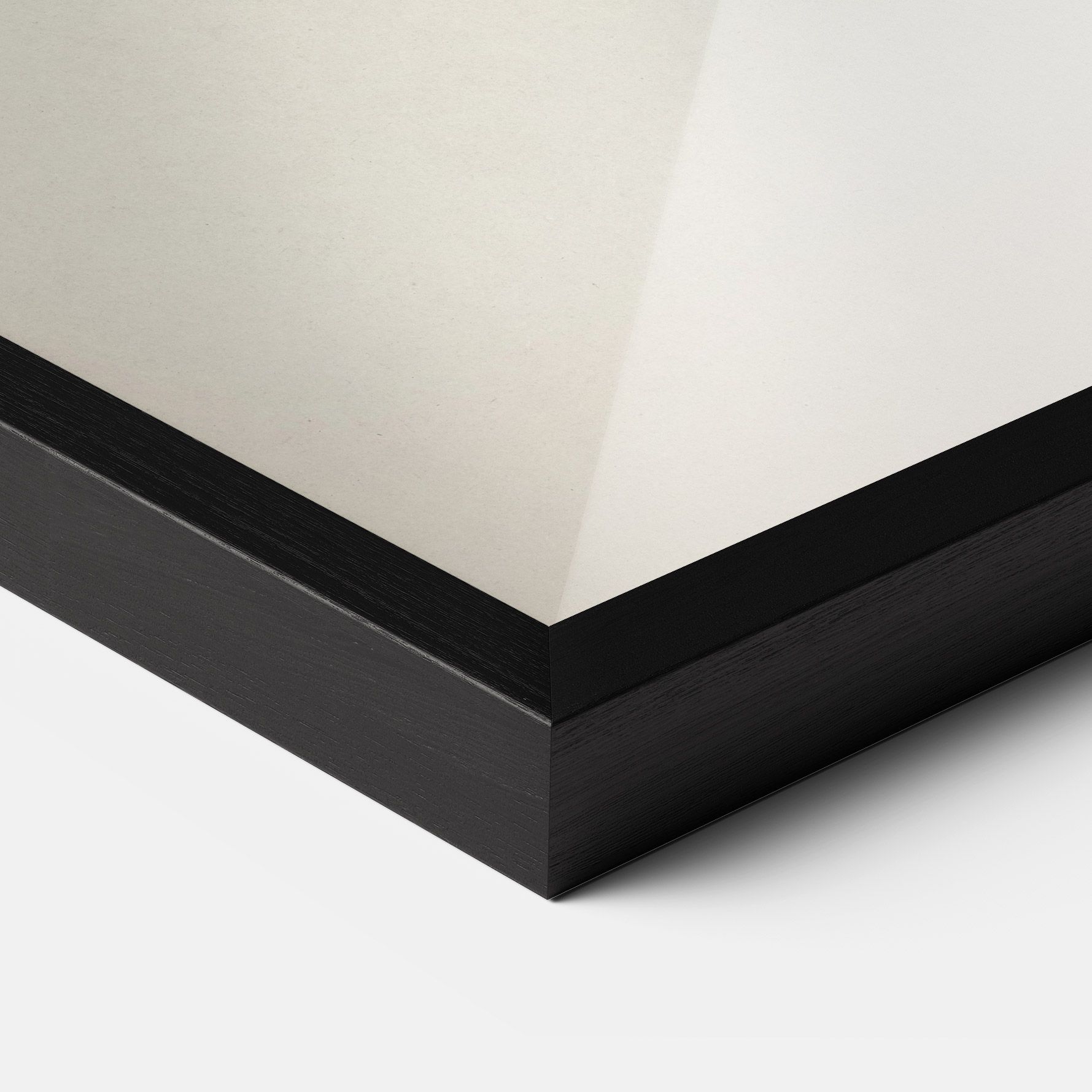 Astur Gentilis mockup 3