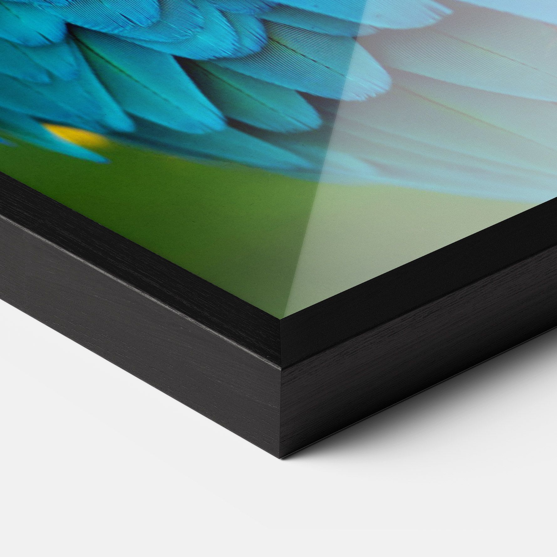 Blue Parrot mockup 3