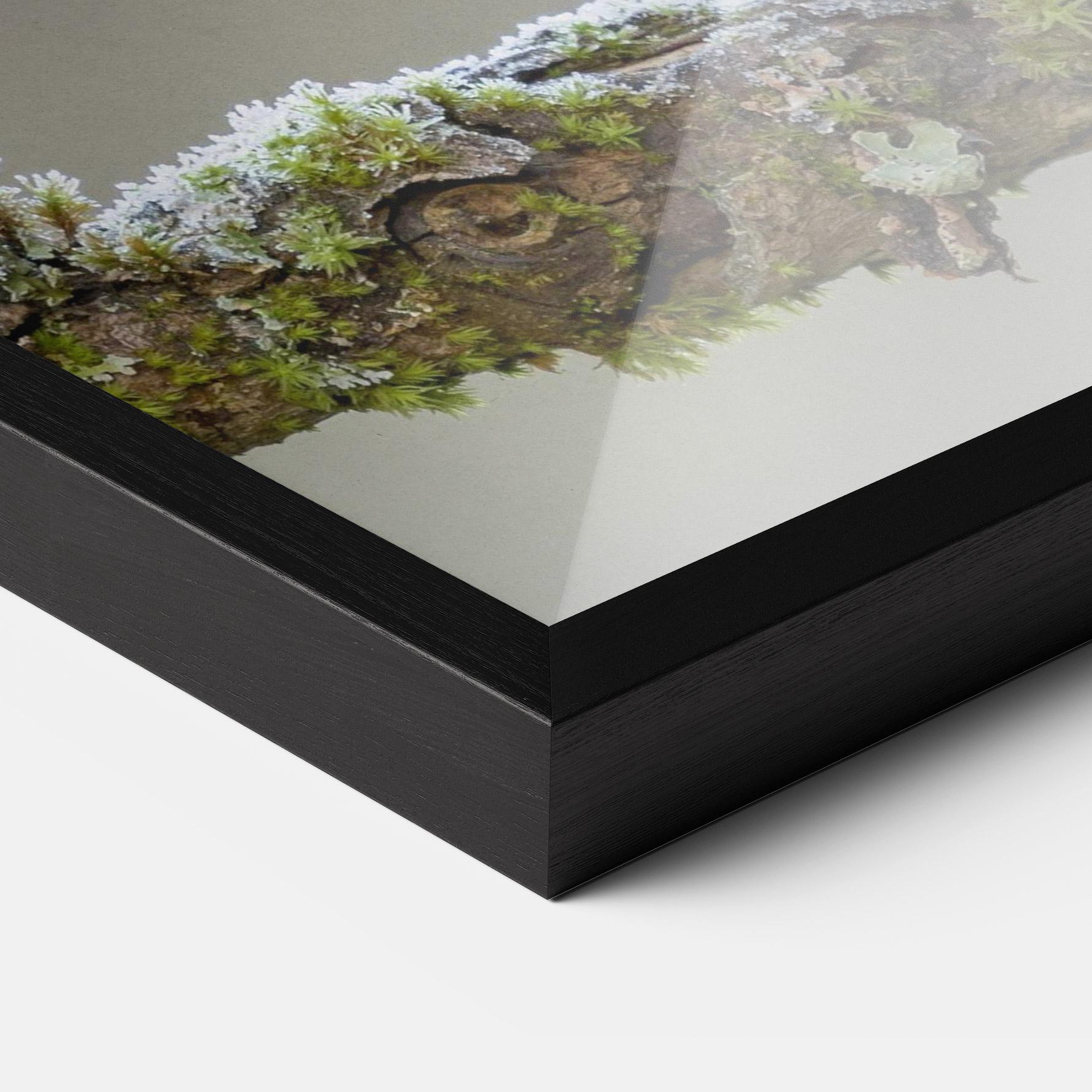 Рамкиран постер Erithacus Bird mockup 3