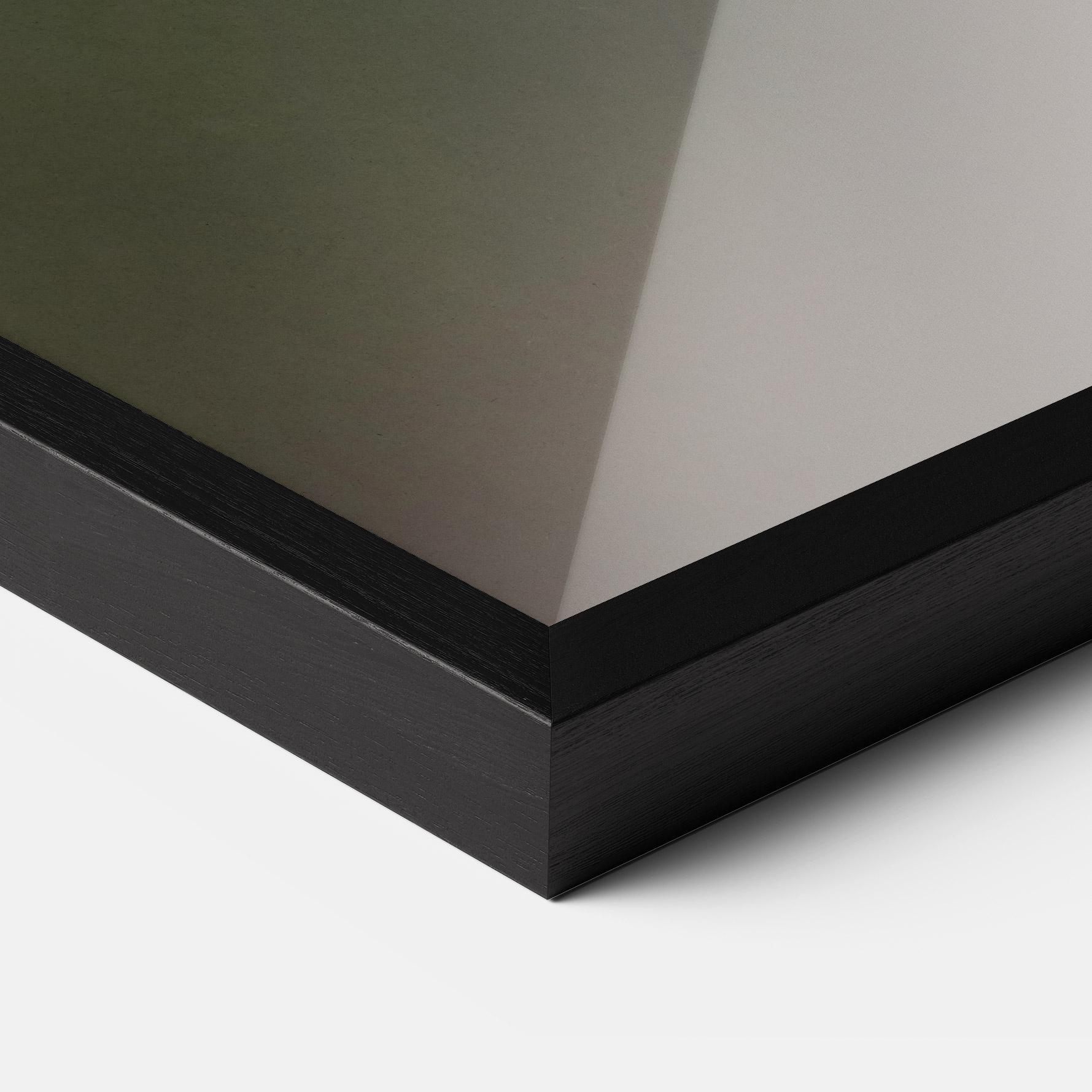 Рамкиран постер Female Kingfisher mockup 3