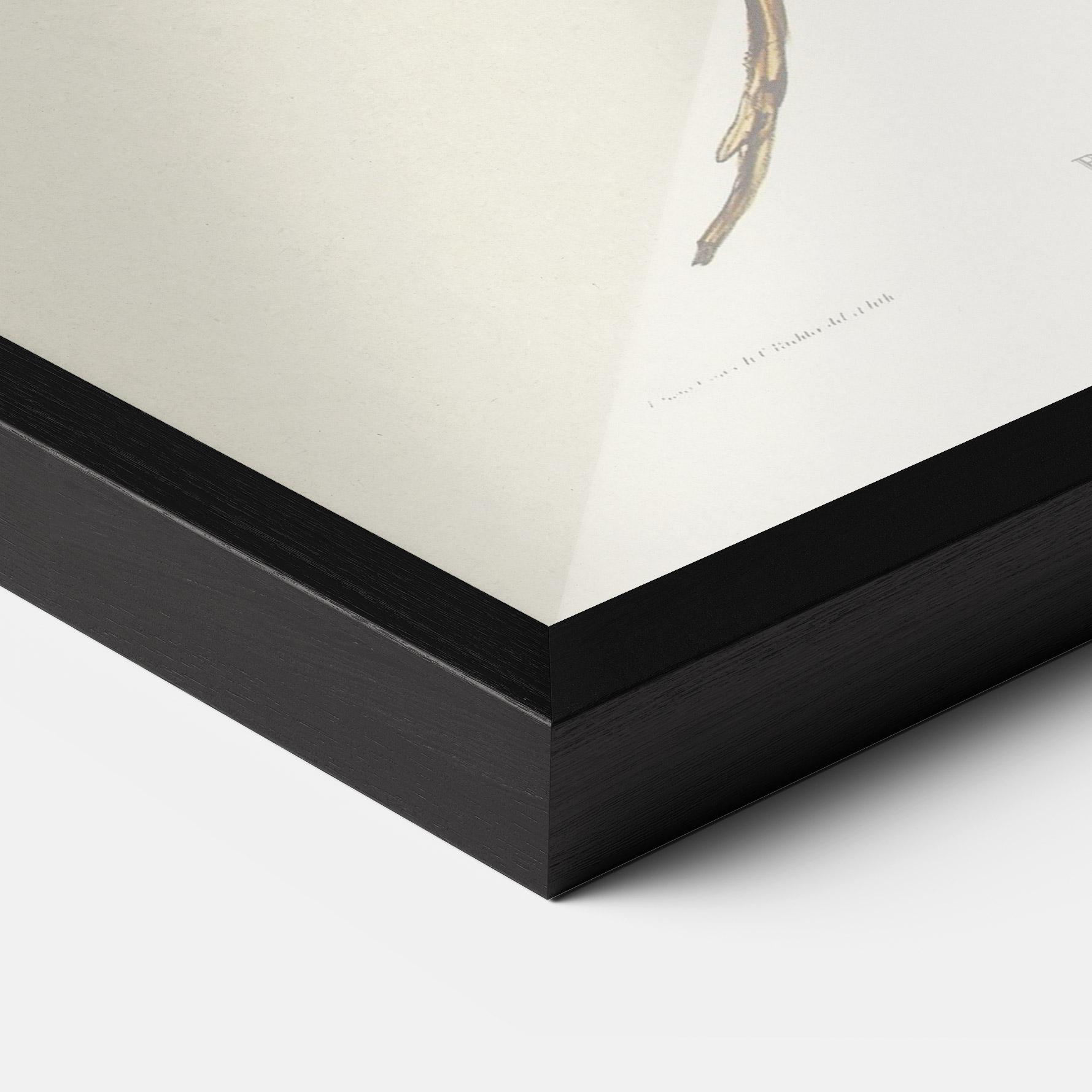 Рамкиран постер Red Pomatorhinus mockup 3