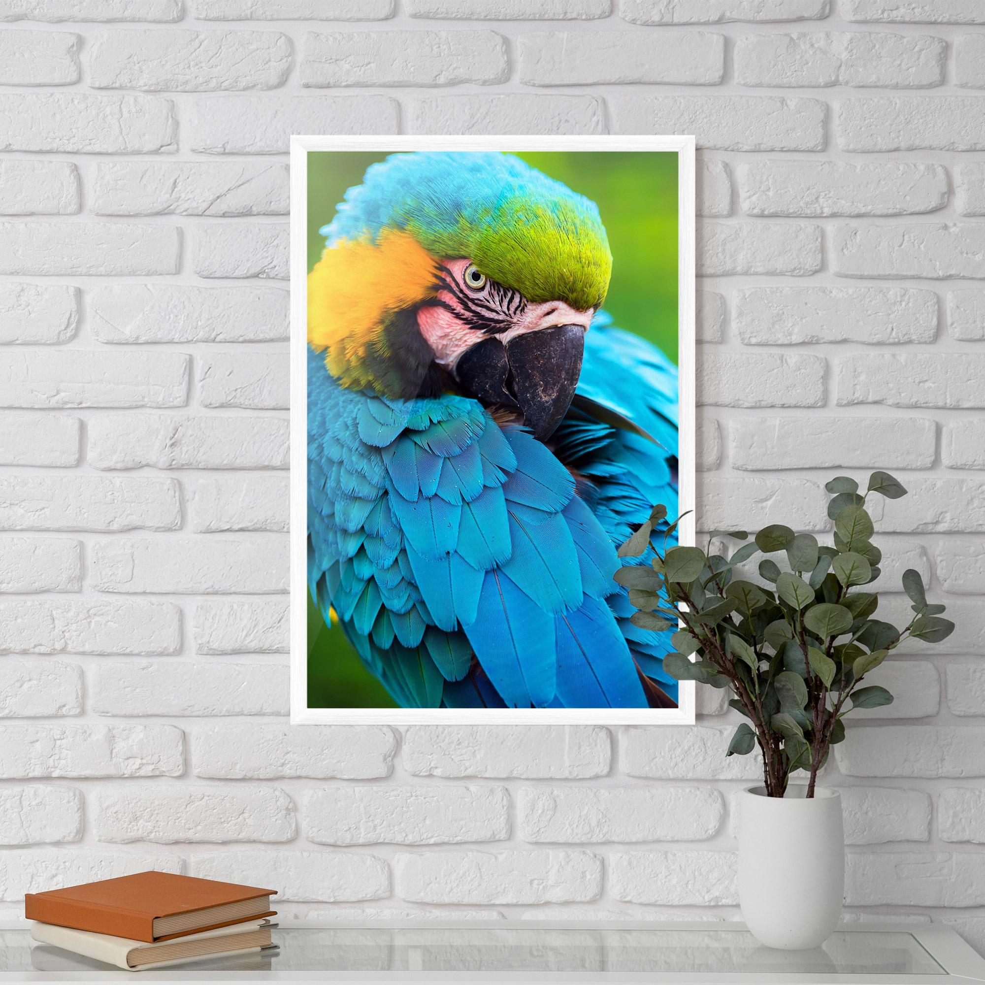 Рамкиран постер Blue Parrot mockup 5