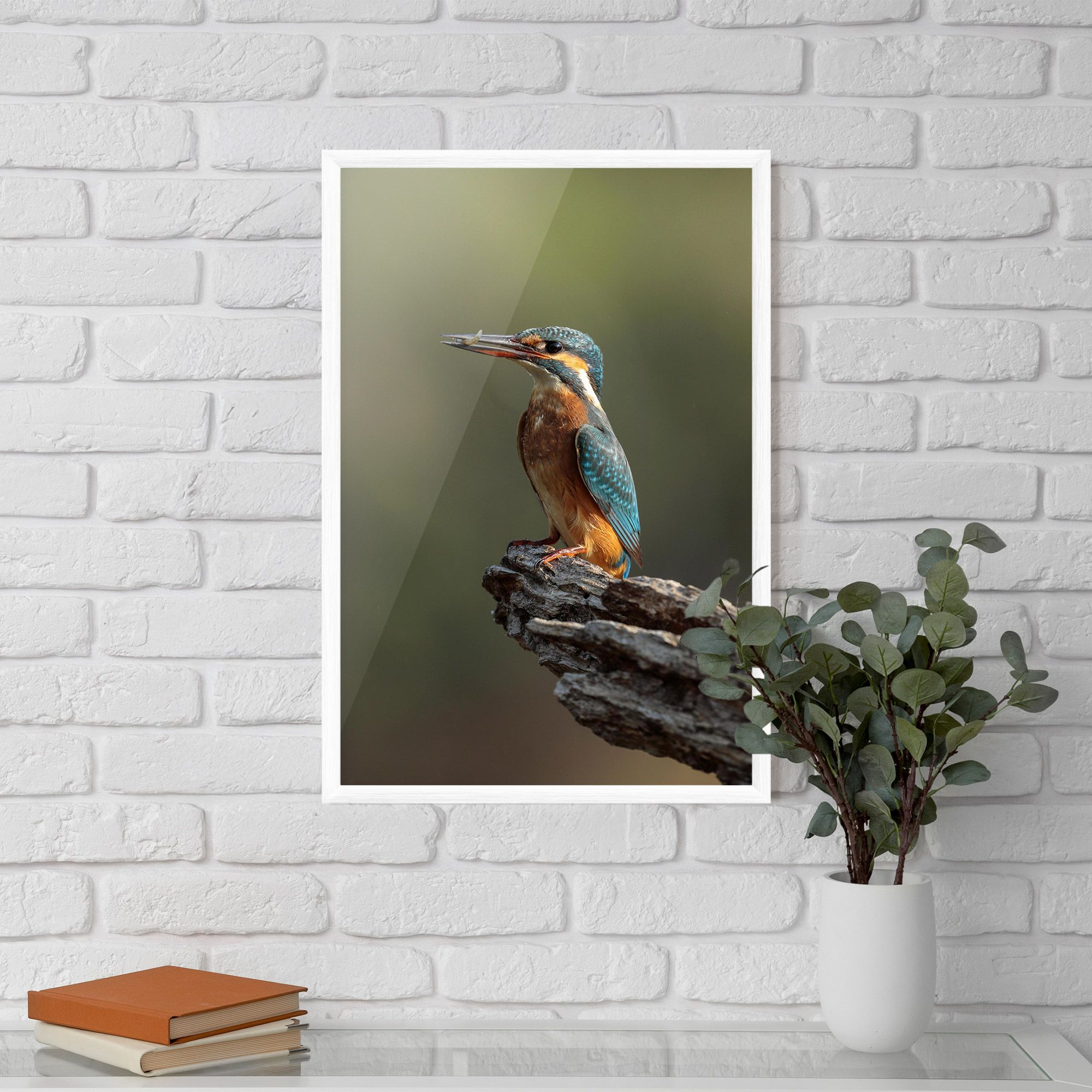 Female Kingfisher mockup 5
