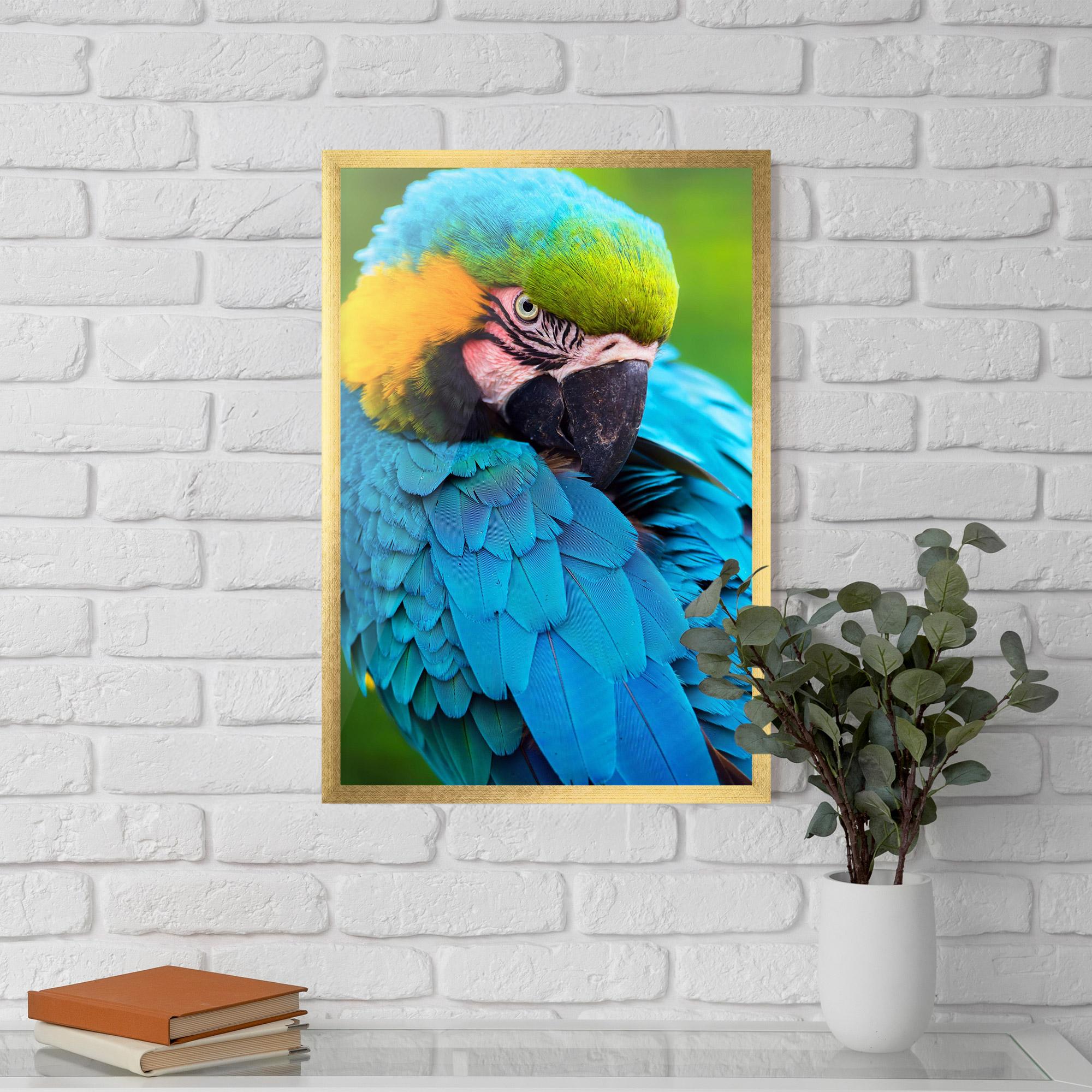 Рамкиран постер Blue Parrot mockup 5